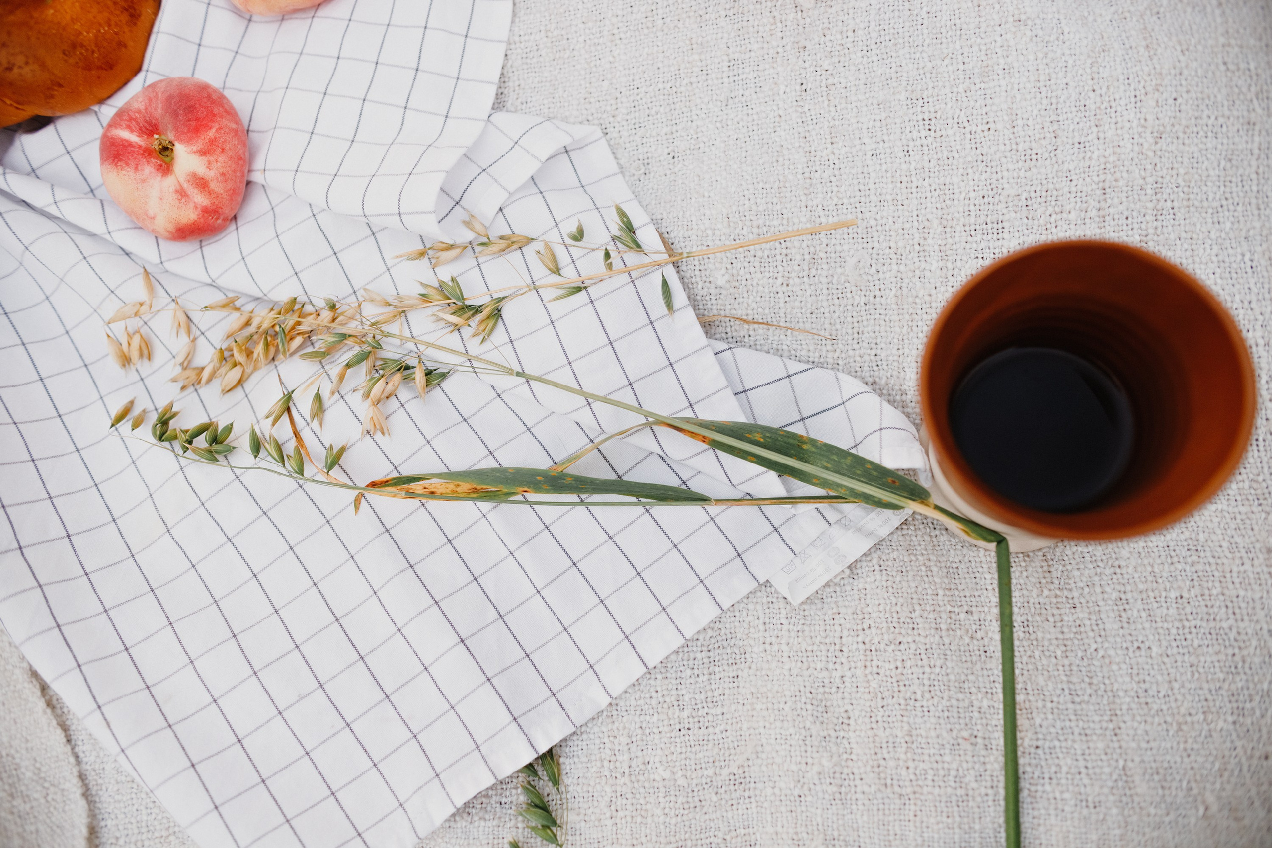Katya | tenderness in the field. Kaja | fotograf psów we Wrocławiu