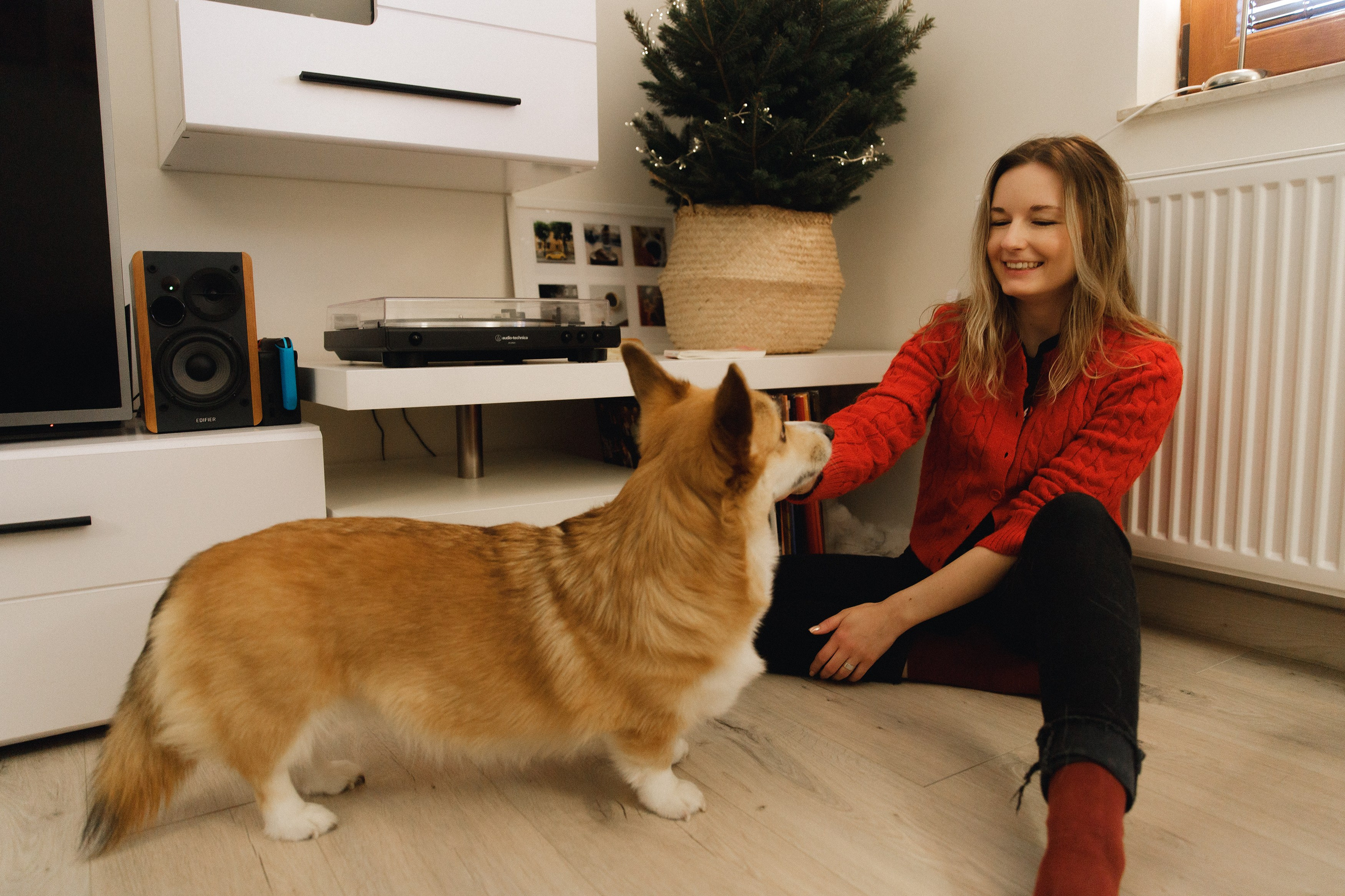 Dasha & Daisy. Kaja | fotograf psów we Wrocławiu