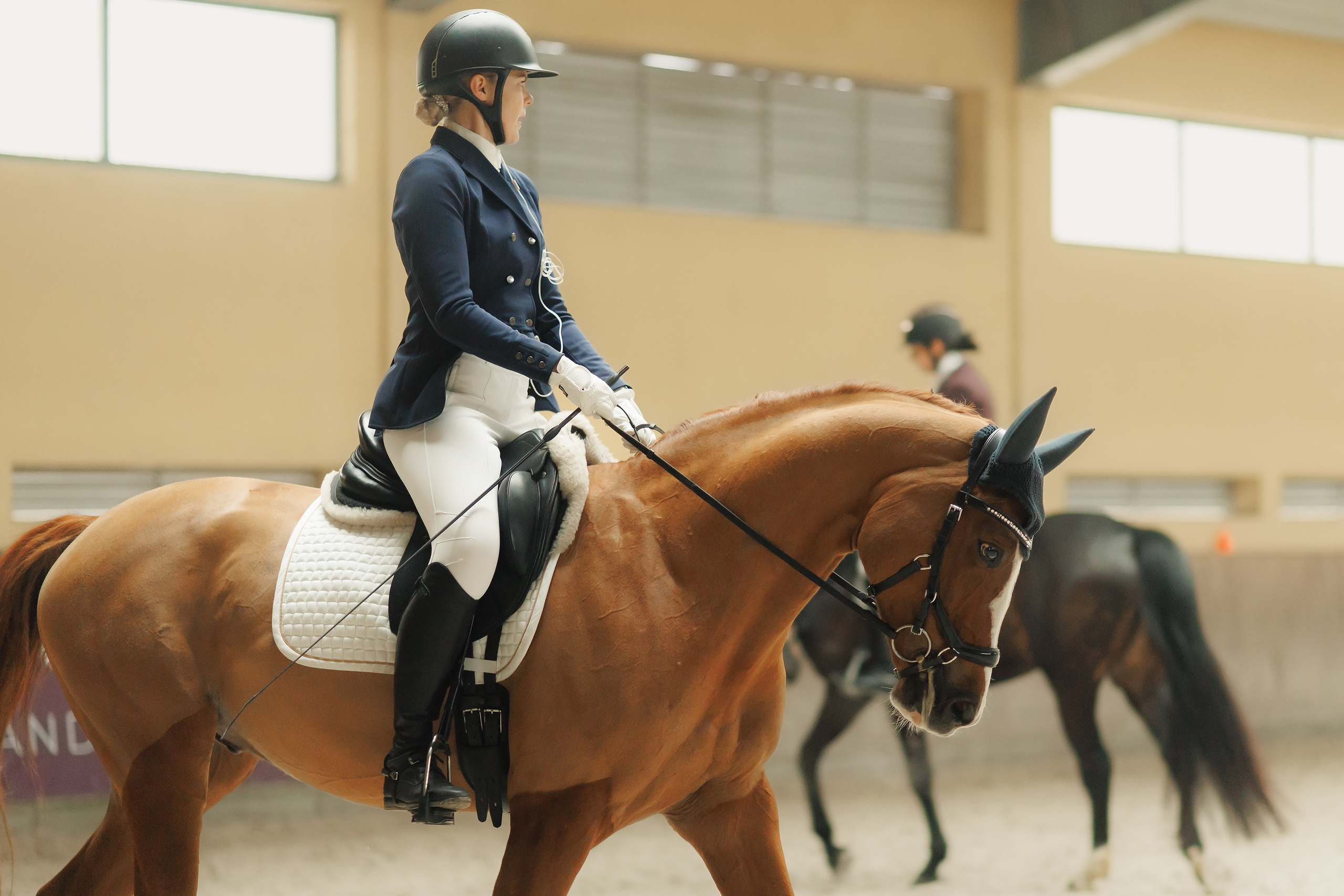 Fotografia koni Wrocław \ ujeżdżenie, Partynice. Kaja | fotograf we Wrocławiu | ludzie i psy