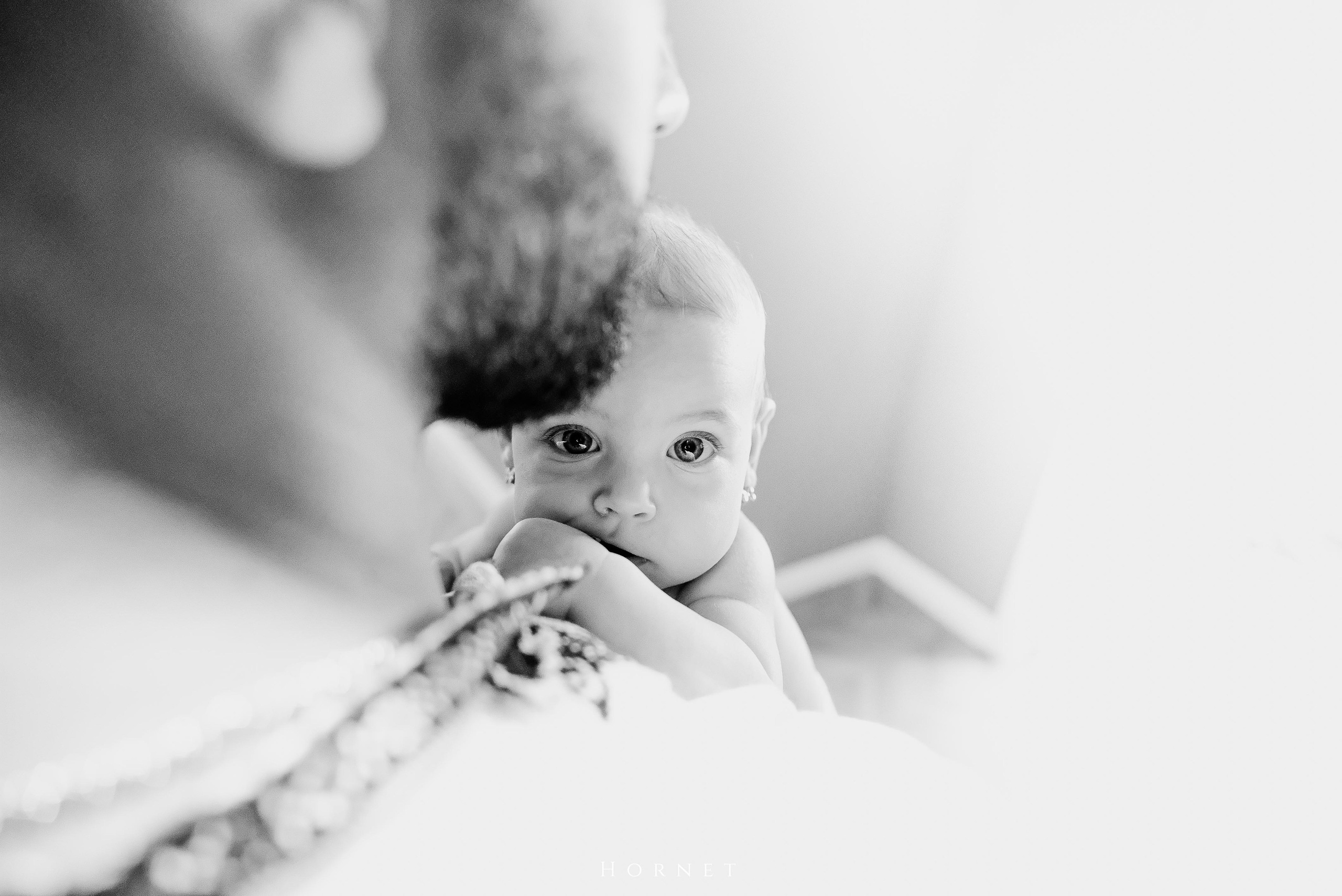 Ava Ioana. Hornetart