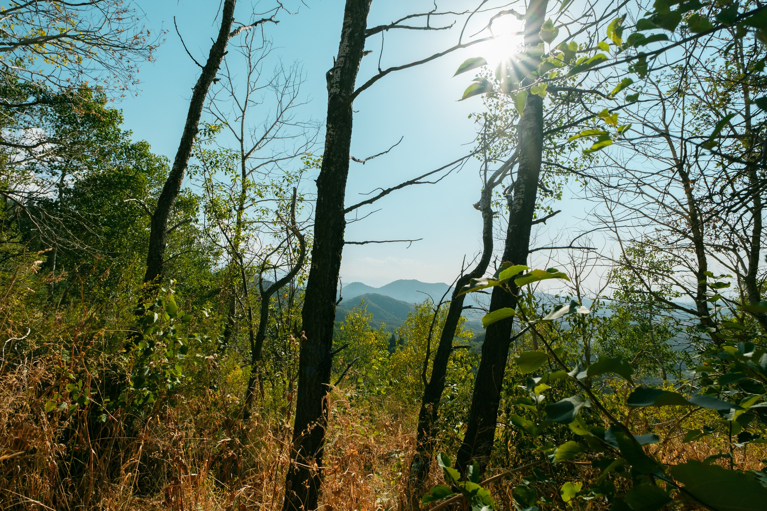 Sigma 12 mm F/1.4 DC DN Contemporary. Фотограф Григорий Кравец