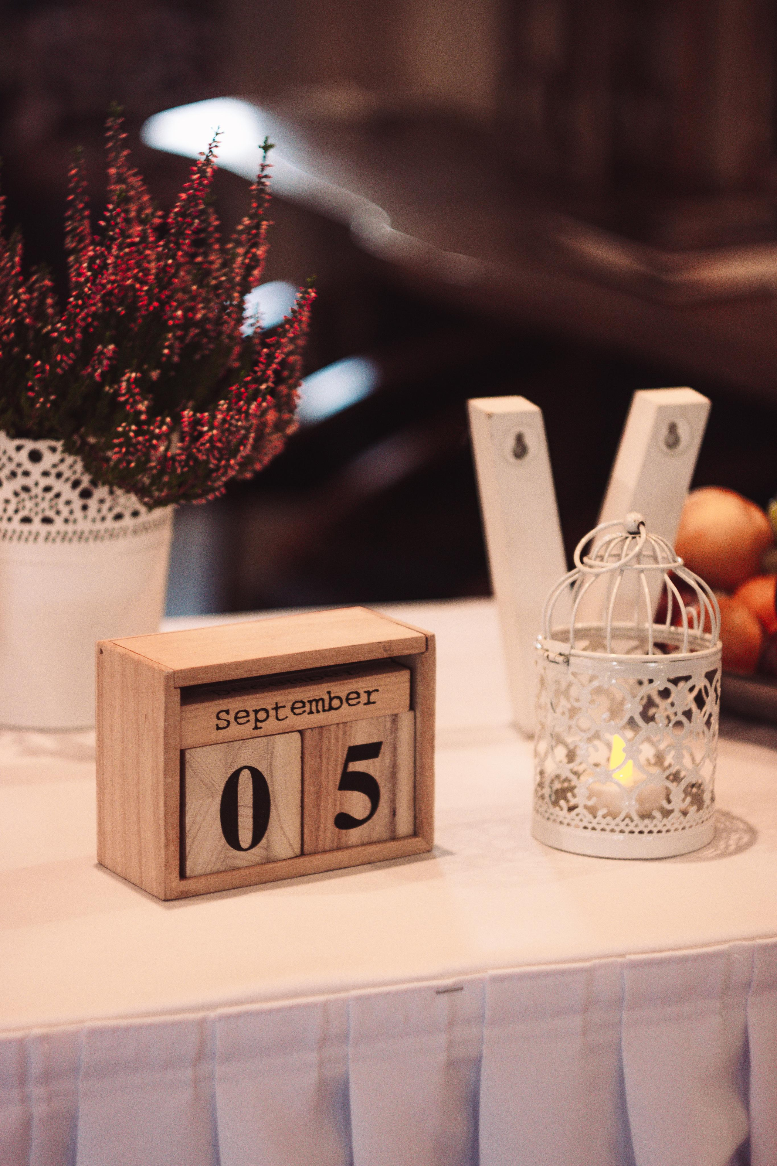 Anna + Andrew. Fotografė Aleksandra Samozvanova