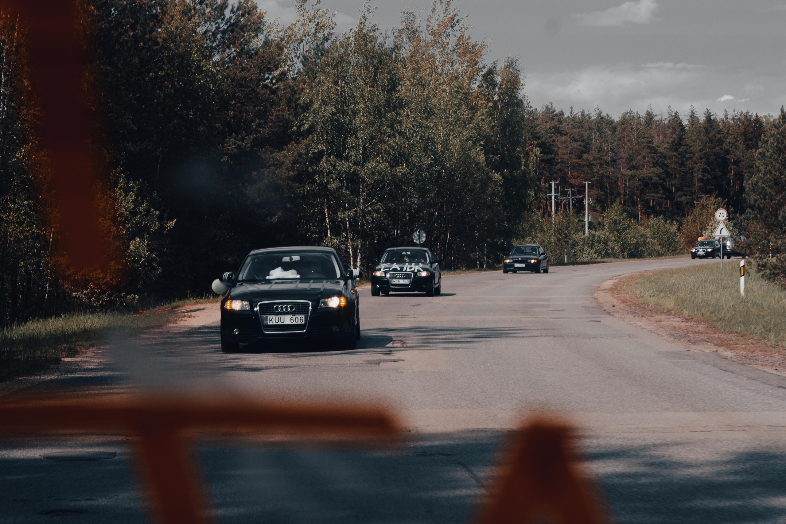 XLIII laida. Fotografė Aleksandra Samozvanova