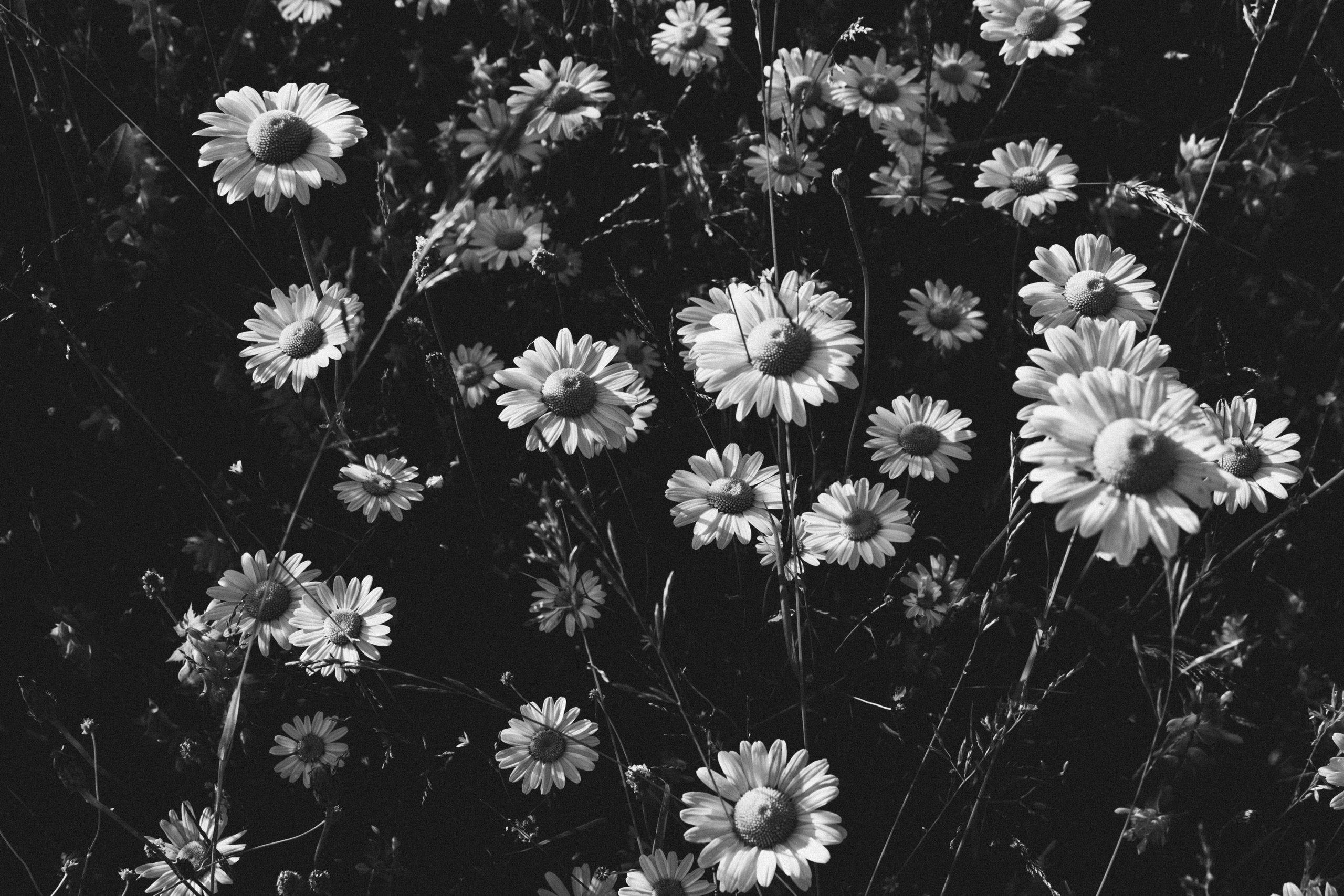 Smiltė, Rugilė & Ignas. Fotografė Aleksandra Samozvanova