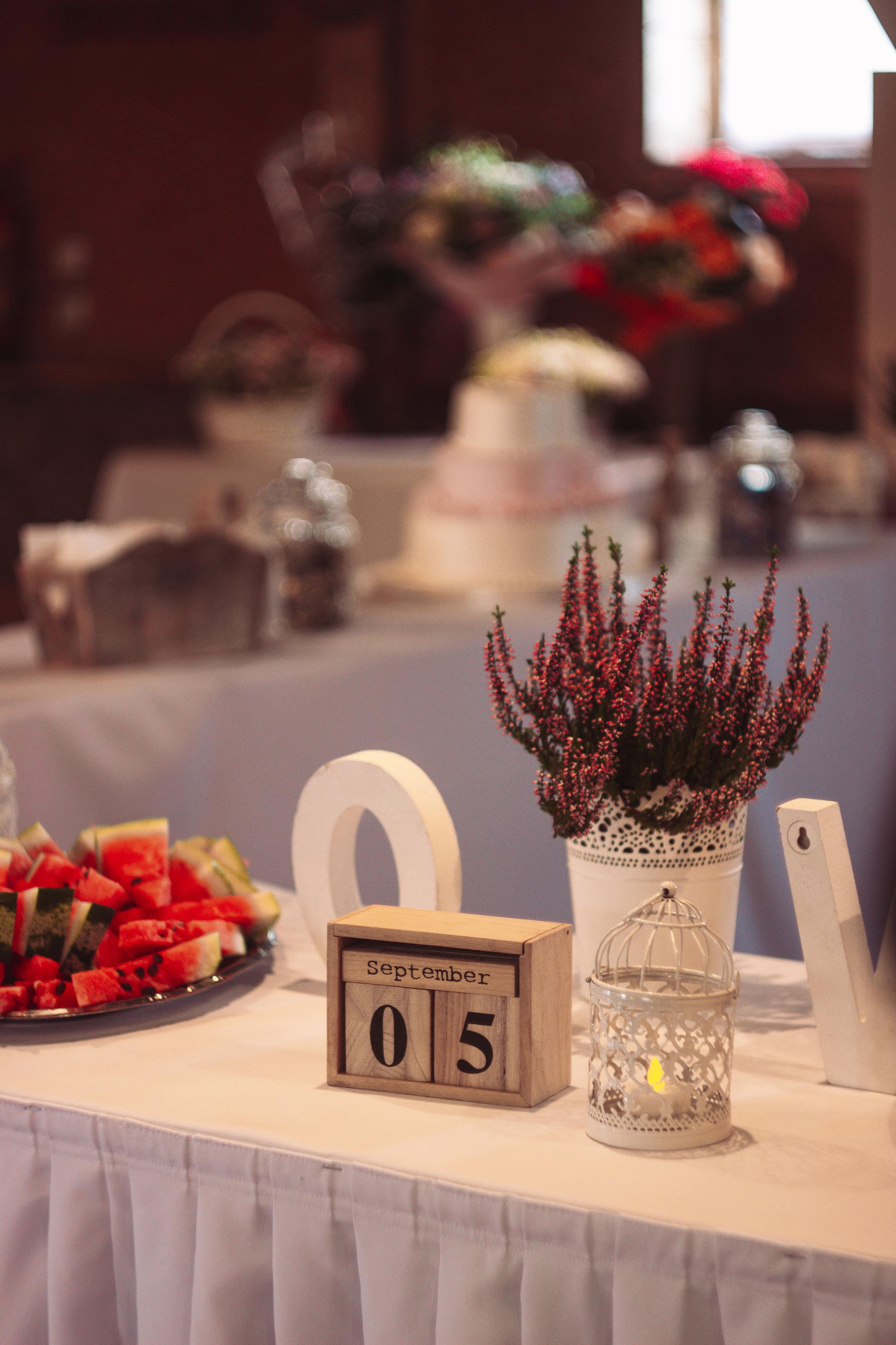 Anna + Andrew. Fotografė Aleksandra Samozvanova