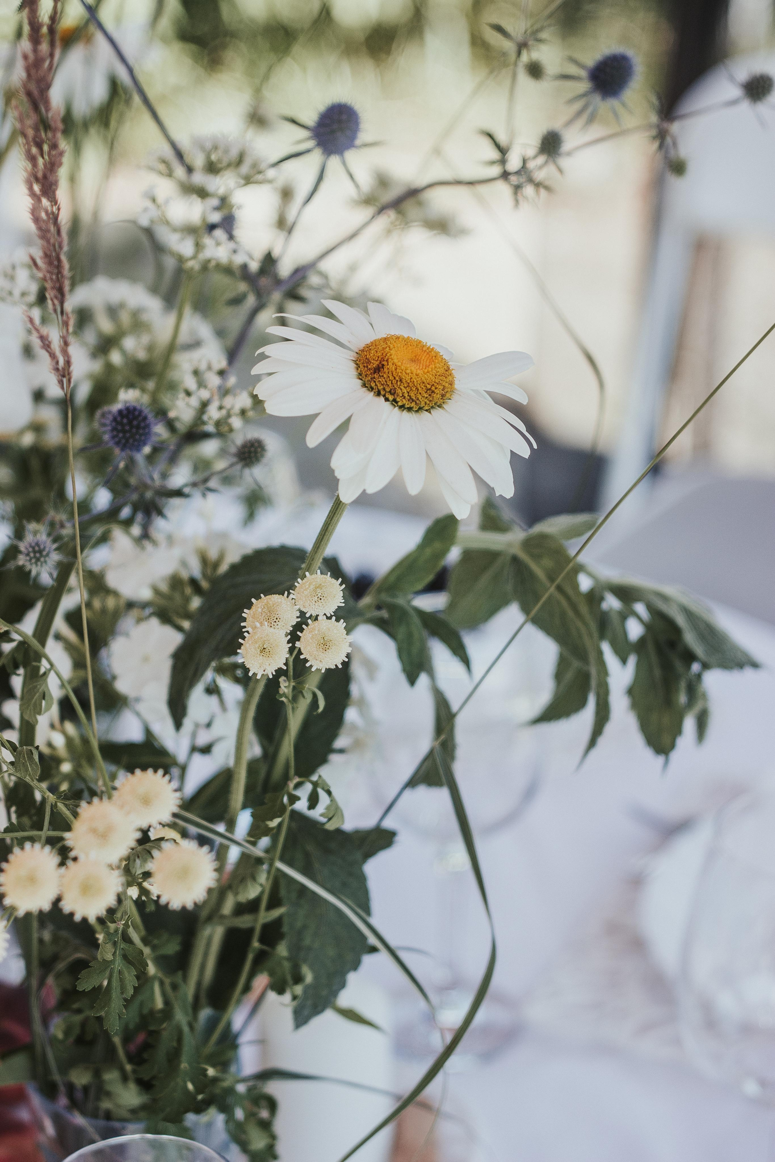 Taisija + Andrey. Fotografė Aleksandra Samozvanova