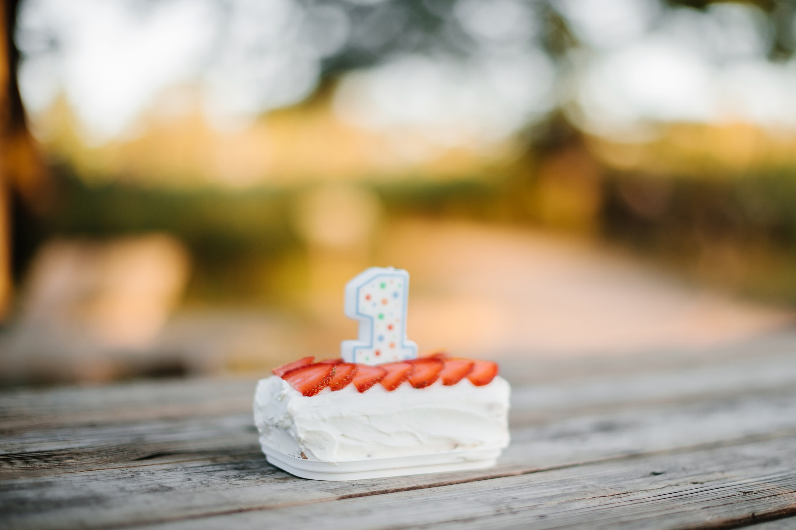 07.08.24 Family Photoshoot. Wedding family event photographer in Chicago Nick Yushevich