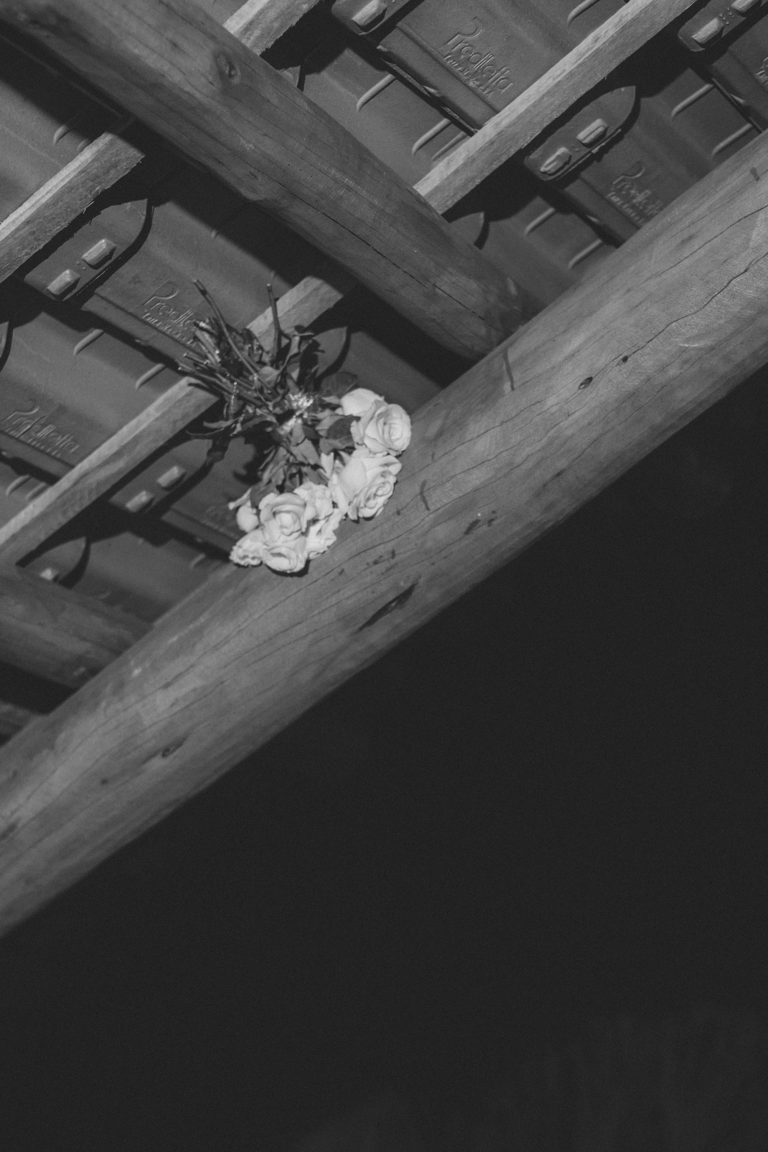 Pettúlia & Breno. Fotógrafo de Casamentos na Bahia — Richard Silvestre