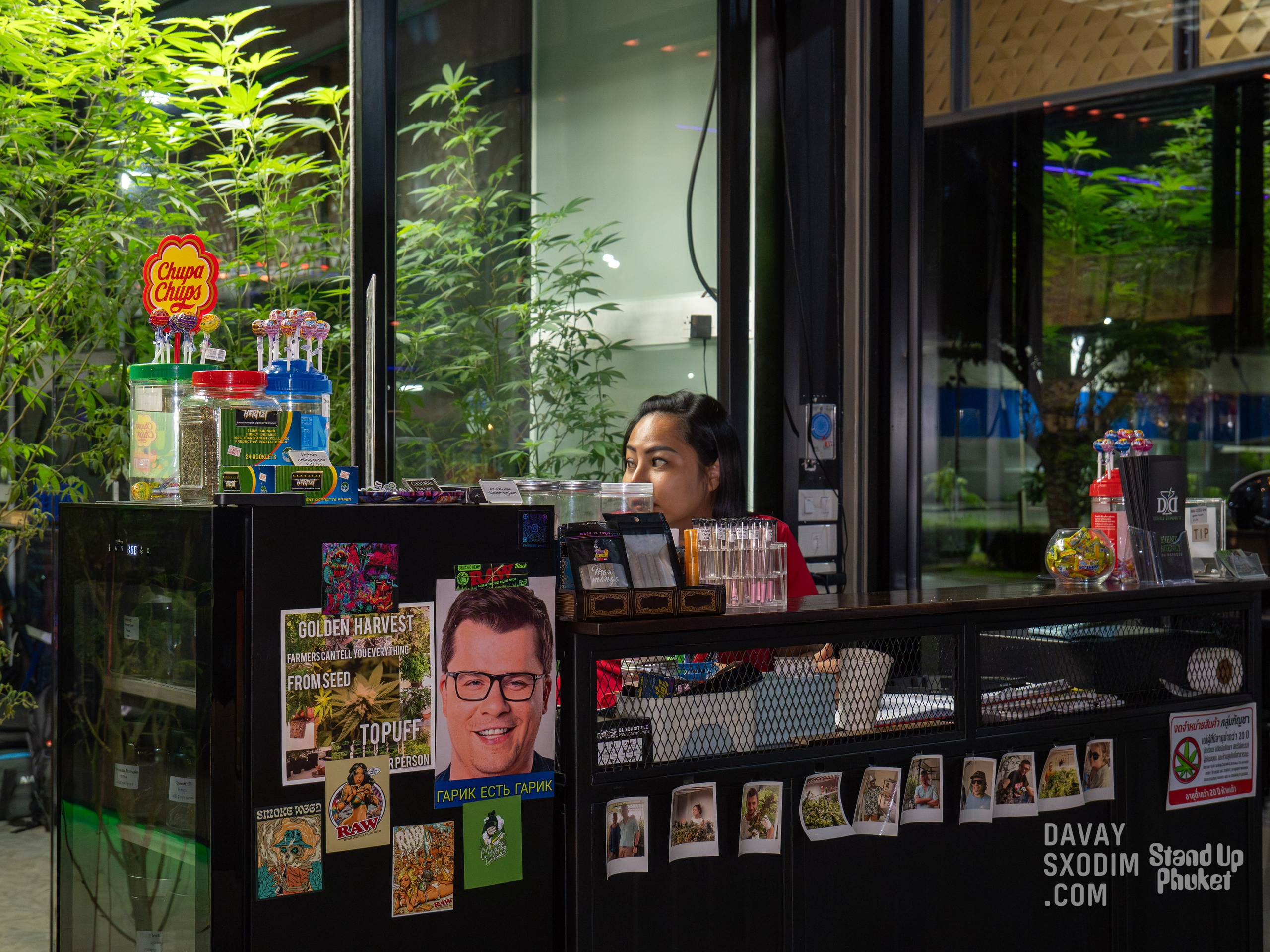 Standup-шоу «Тай-Болтай» | Фоторепортаж | Афиша | DAVAYSXODIM.com PHUKET. АФИША|ФОТОРЕПОРТАЖИ|ИВЕНТЫ|ПХУКЕТ