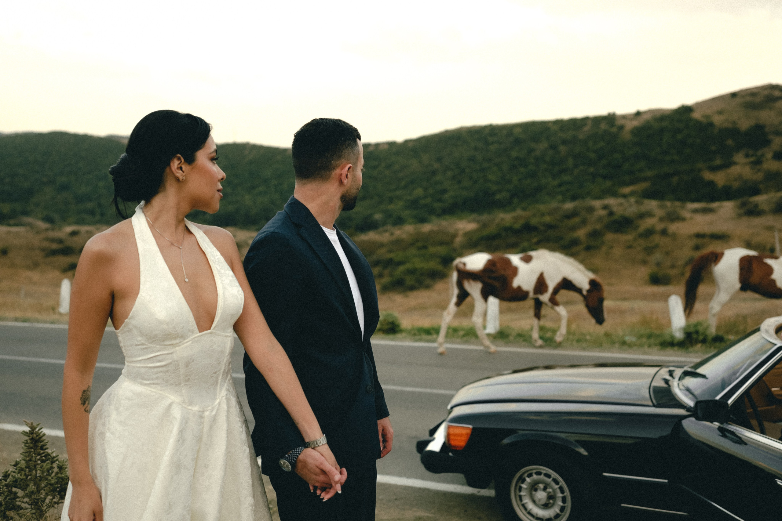 Jvari | Ahmad & Paola. Главная