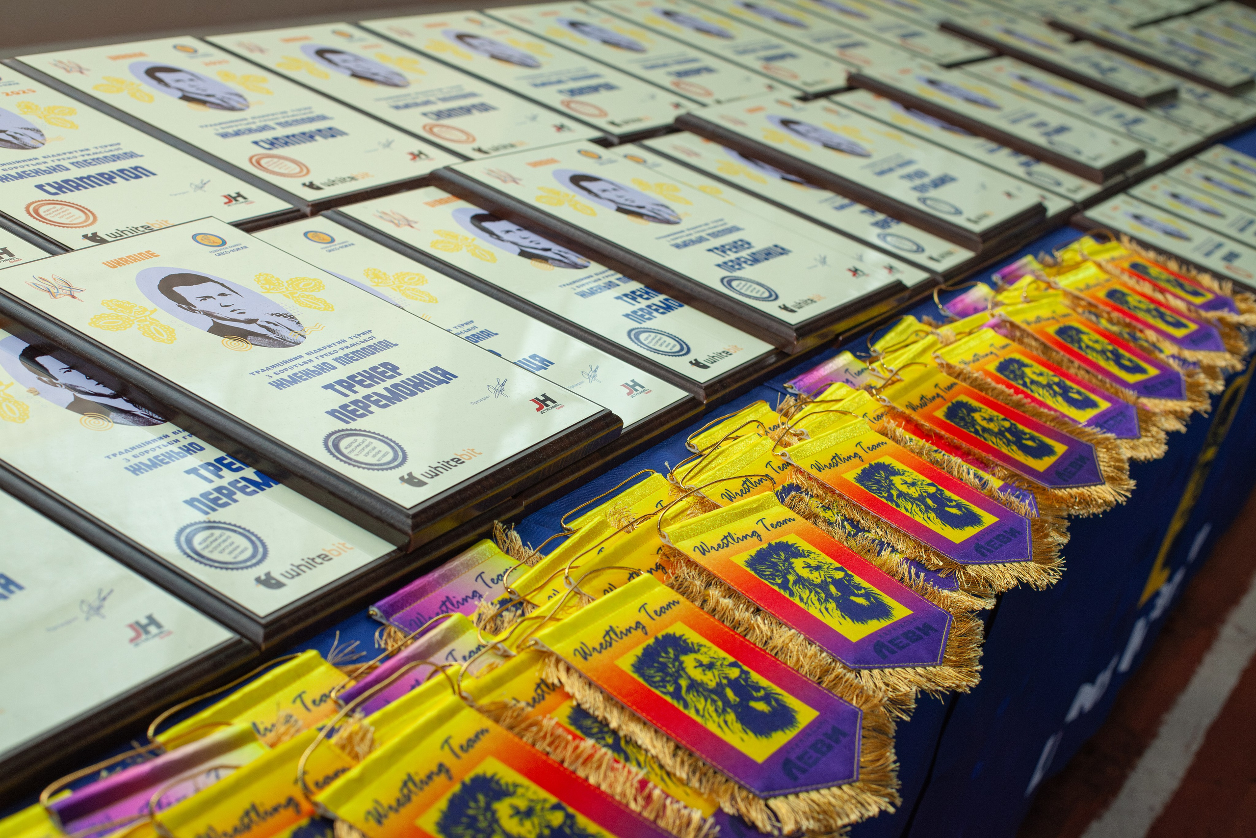 Греко-Римская борьба. Мемориал Жменько