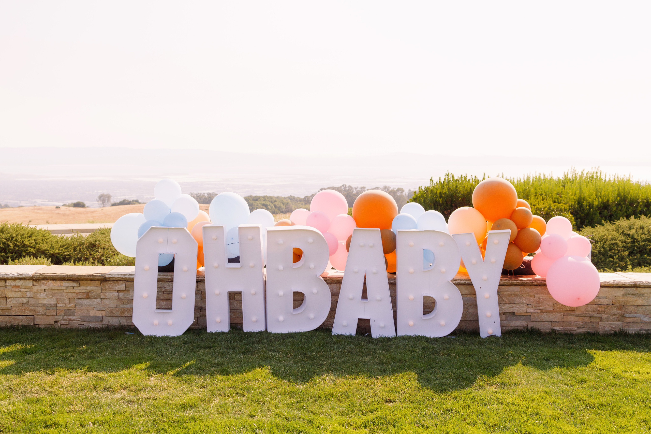 Event. Family and Event photographer in Bay Area Elena Tiuriumina