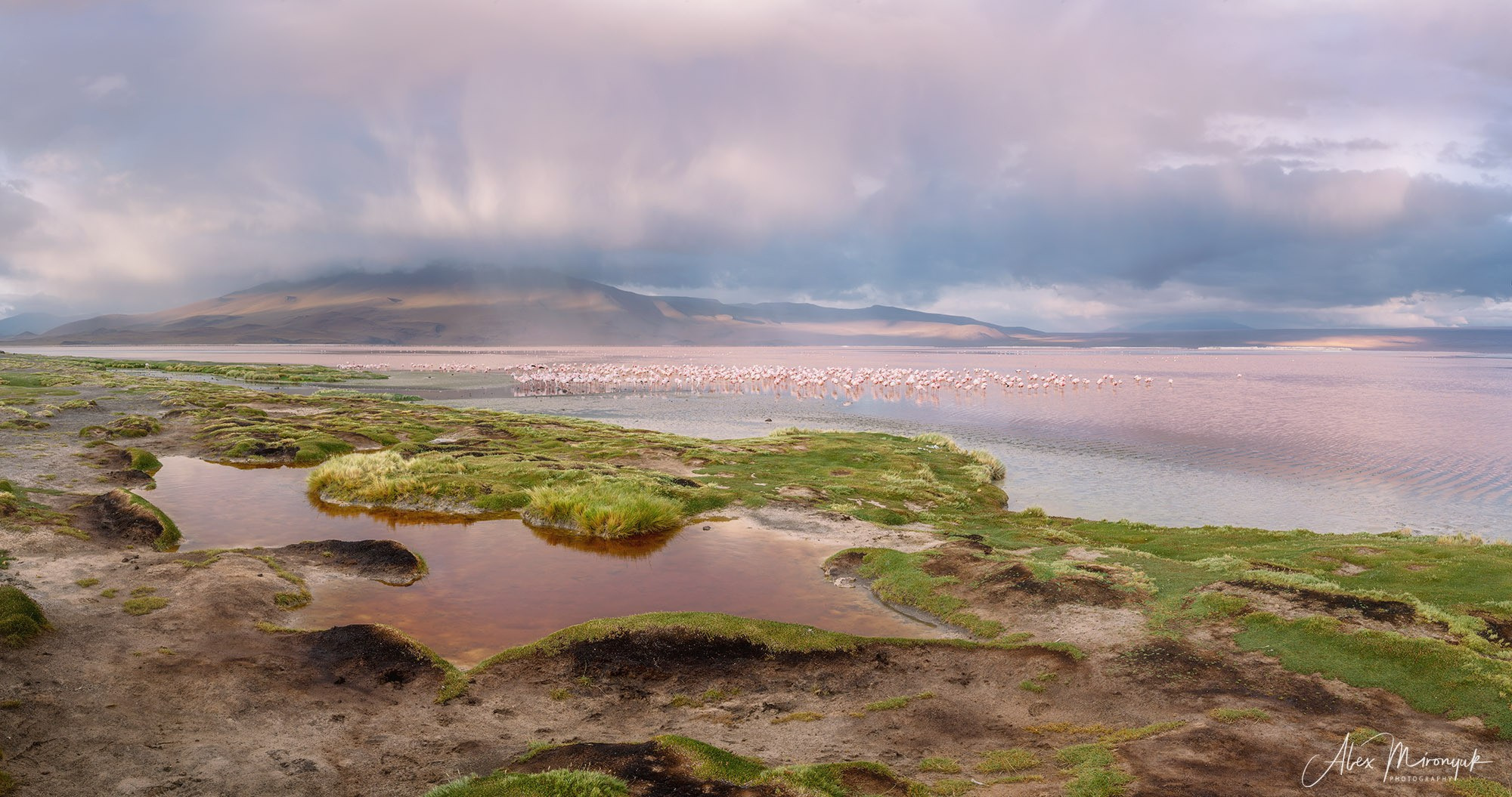 Bolivia Adventure — 2025. Pet, Senior, Landscape, portrait studio, photographer in Miami and Sou