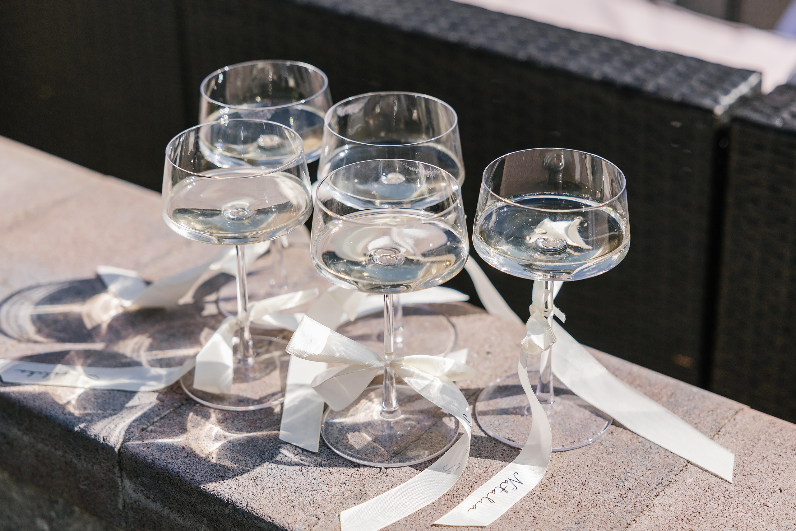 09.06.2025 Wedding. Wedding family event photographer in Chicago Nick Yushevich