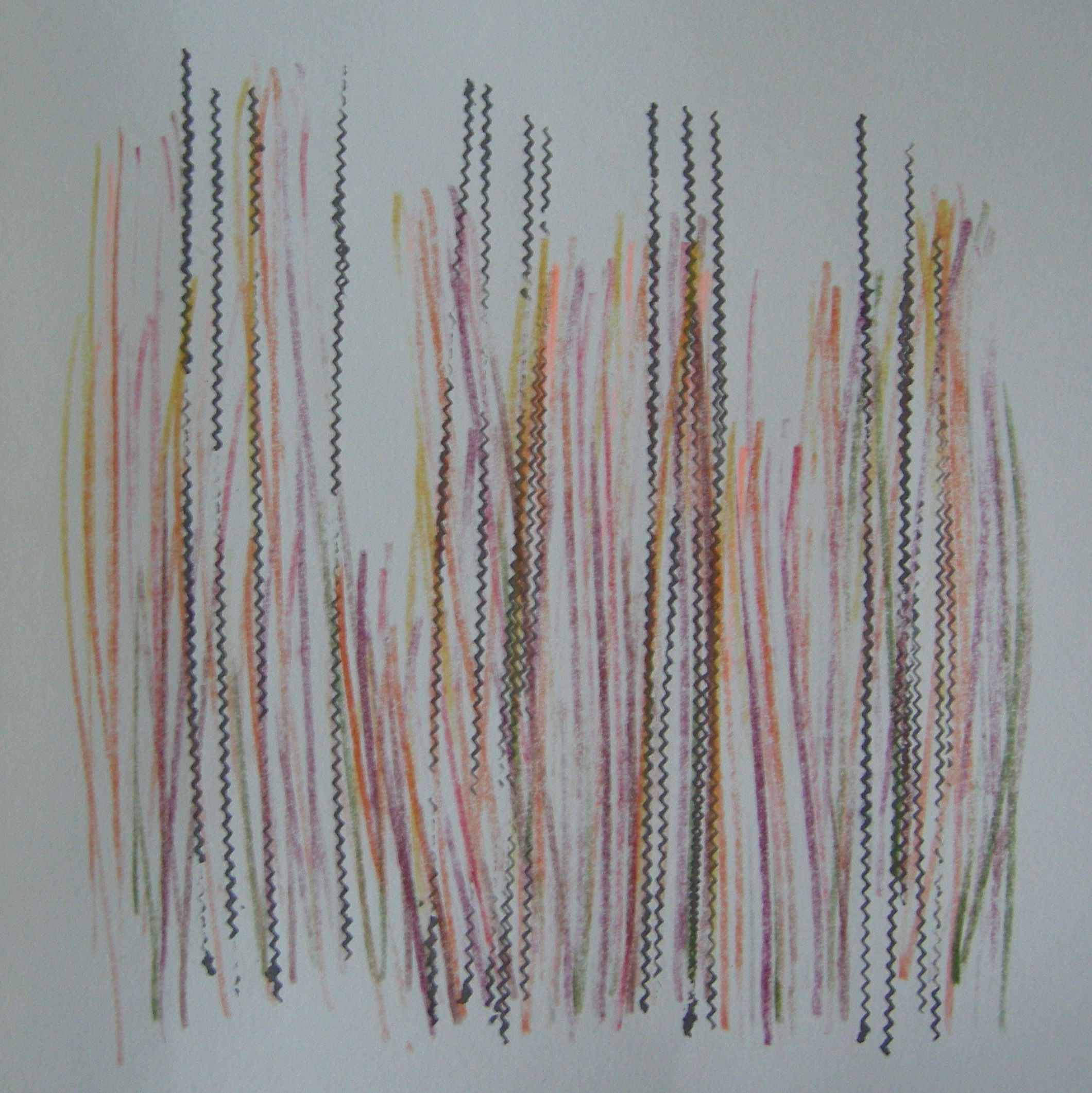 O.T. 2024 - 30x30