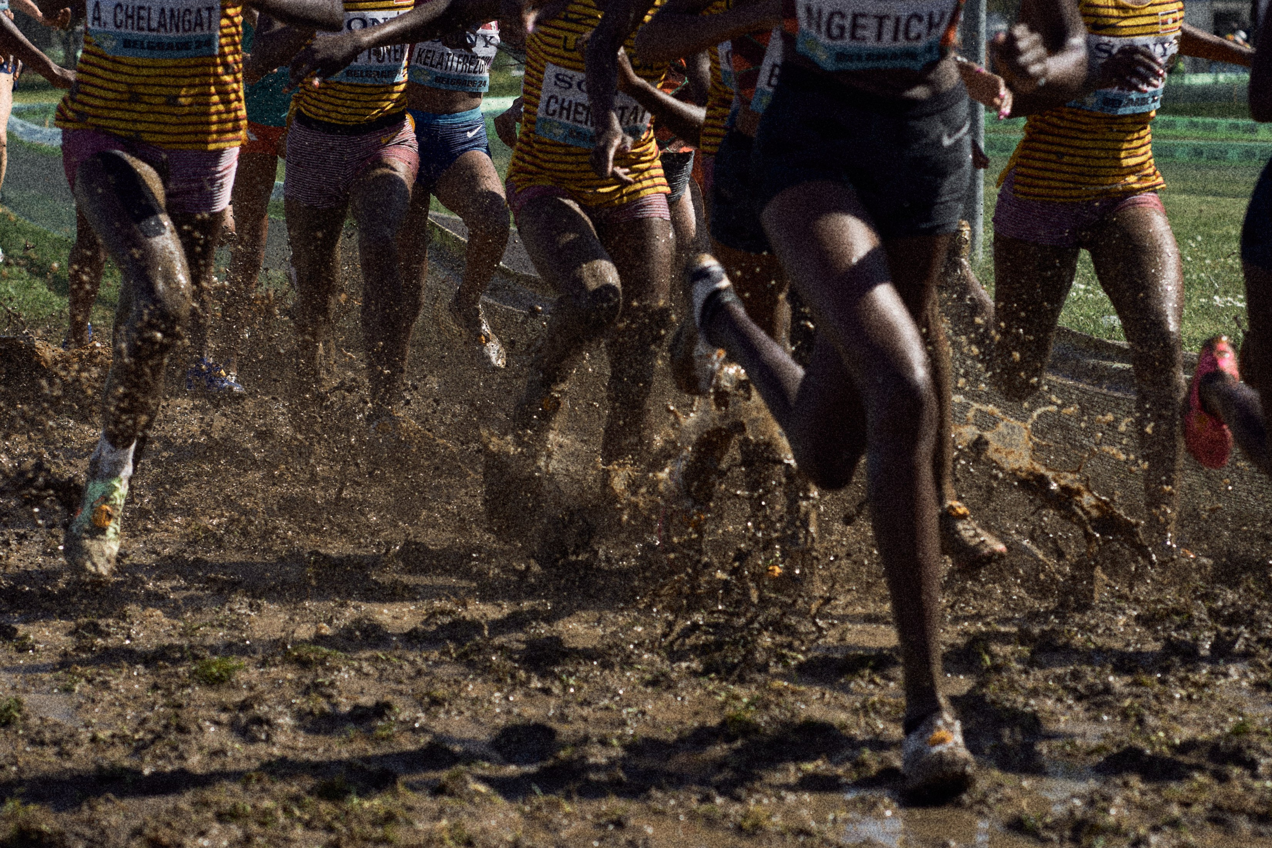 Cross Country Championship 2024 #running. Photographer Evgeniya Dovgalyuk