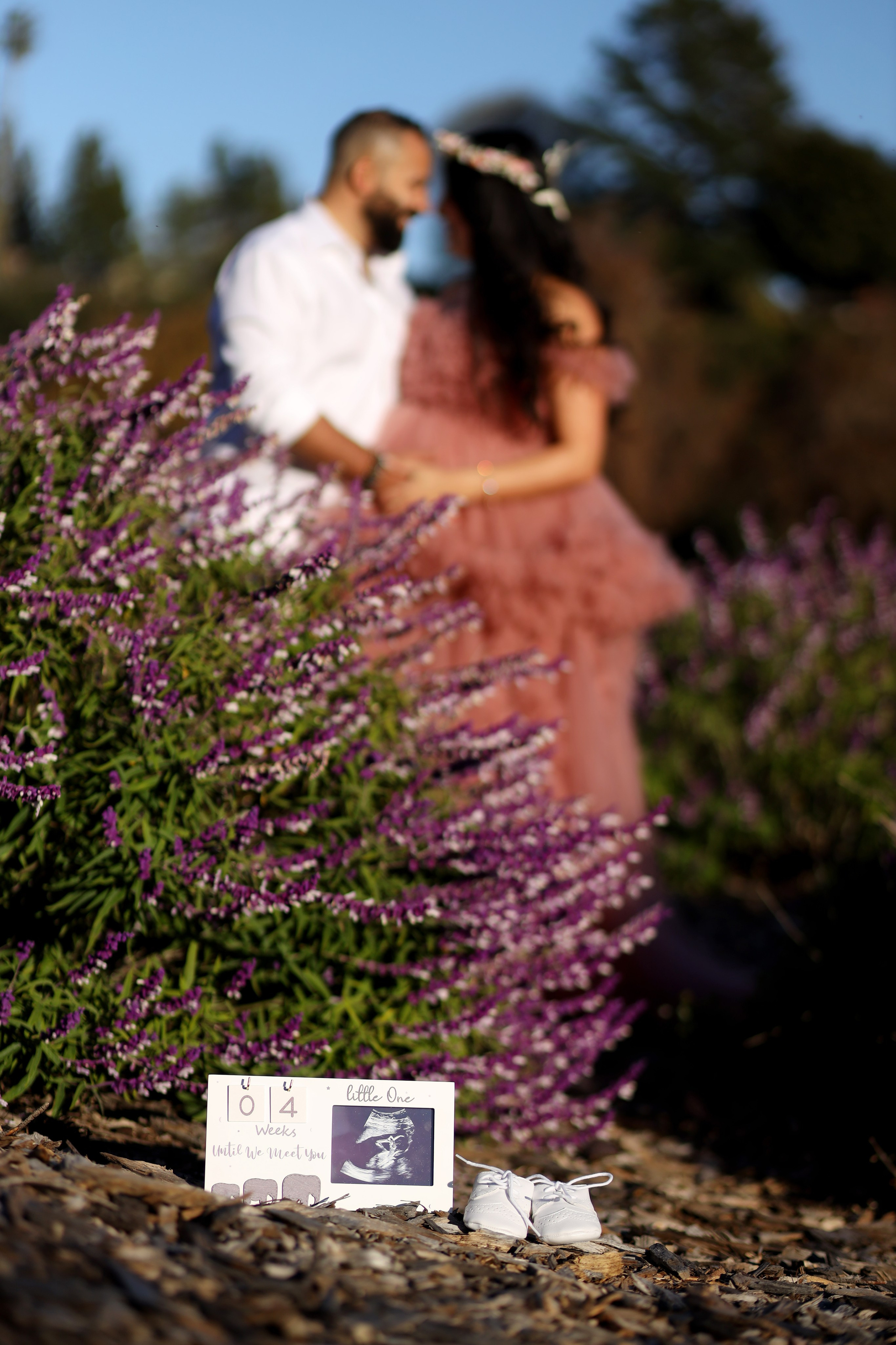Maternity. Family and Event photographer in Bay Area Elena Tiuriumina