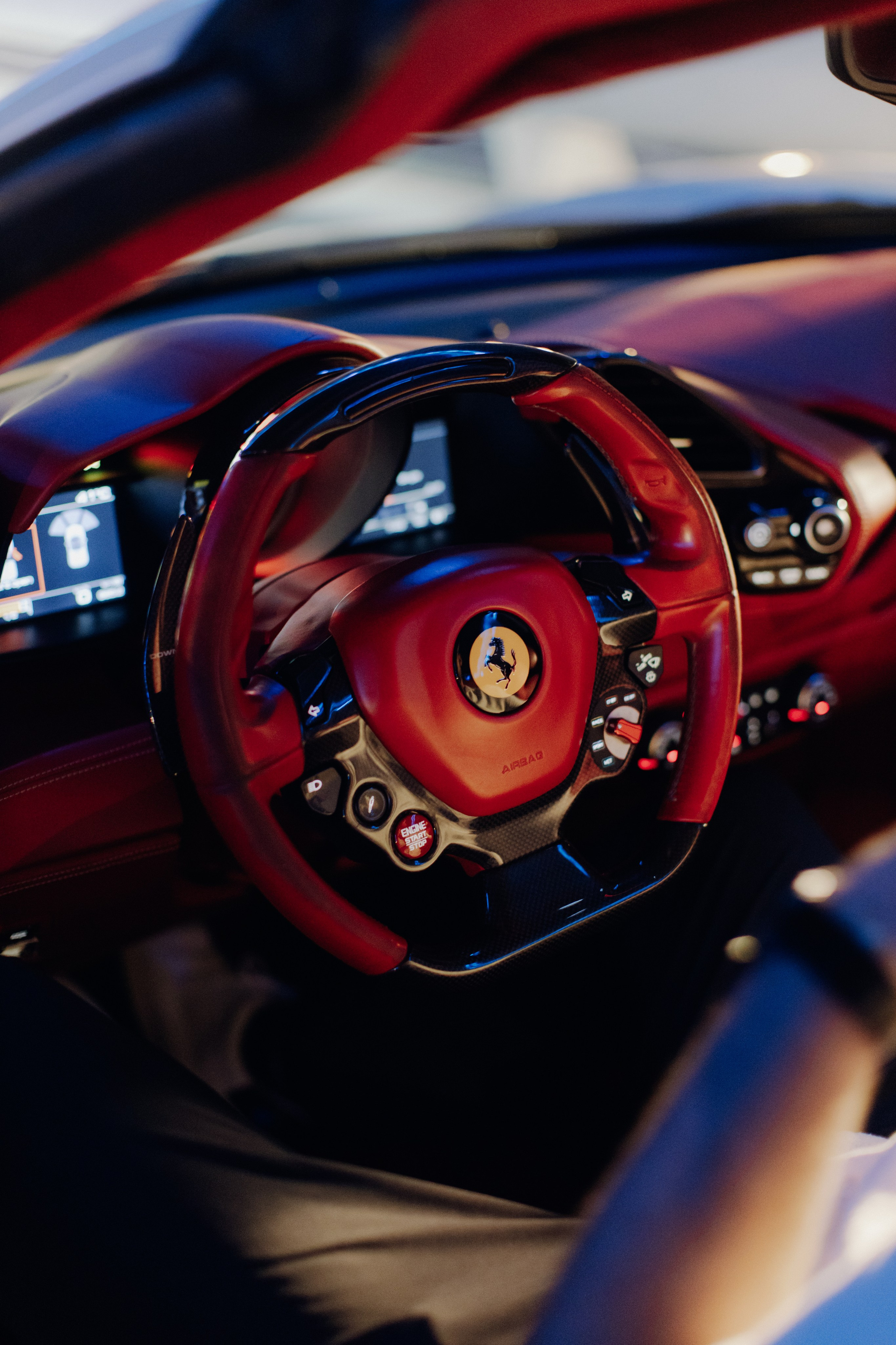 Mimosa & Erik E-session