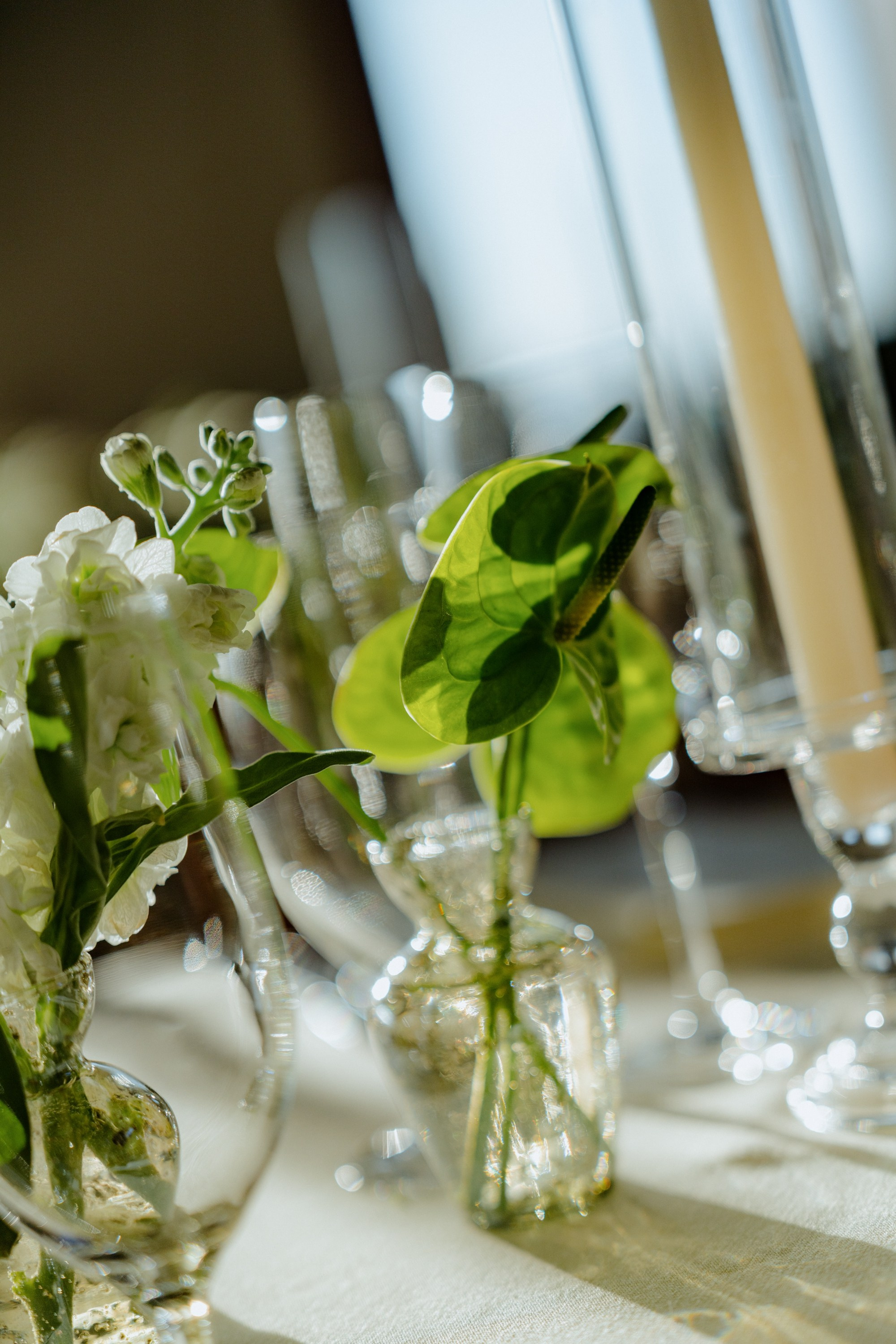 Dayna and Douglas. Wedding photographer and videographer New York | New Jersey