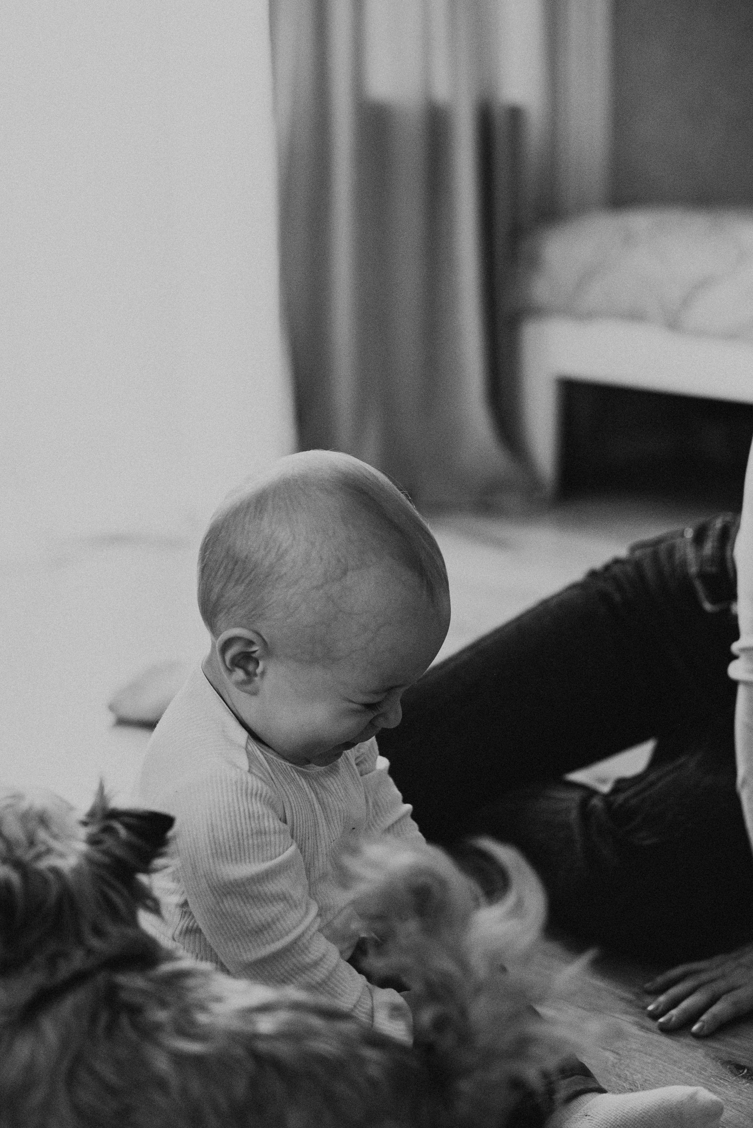 *. Wedding and family photographer San Diego