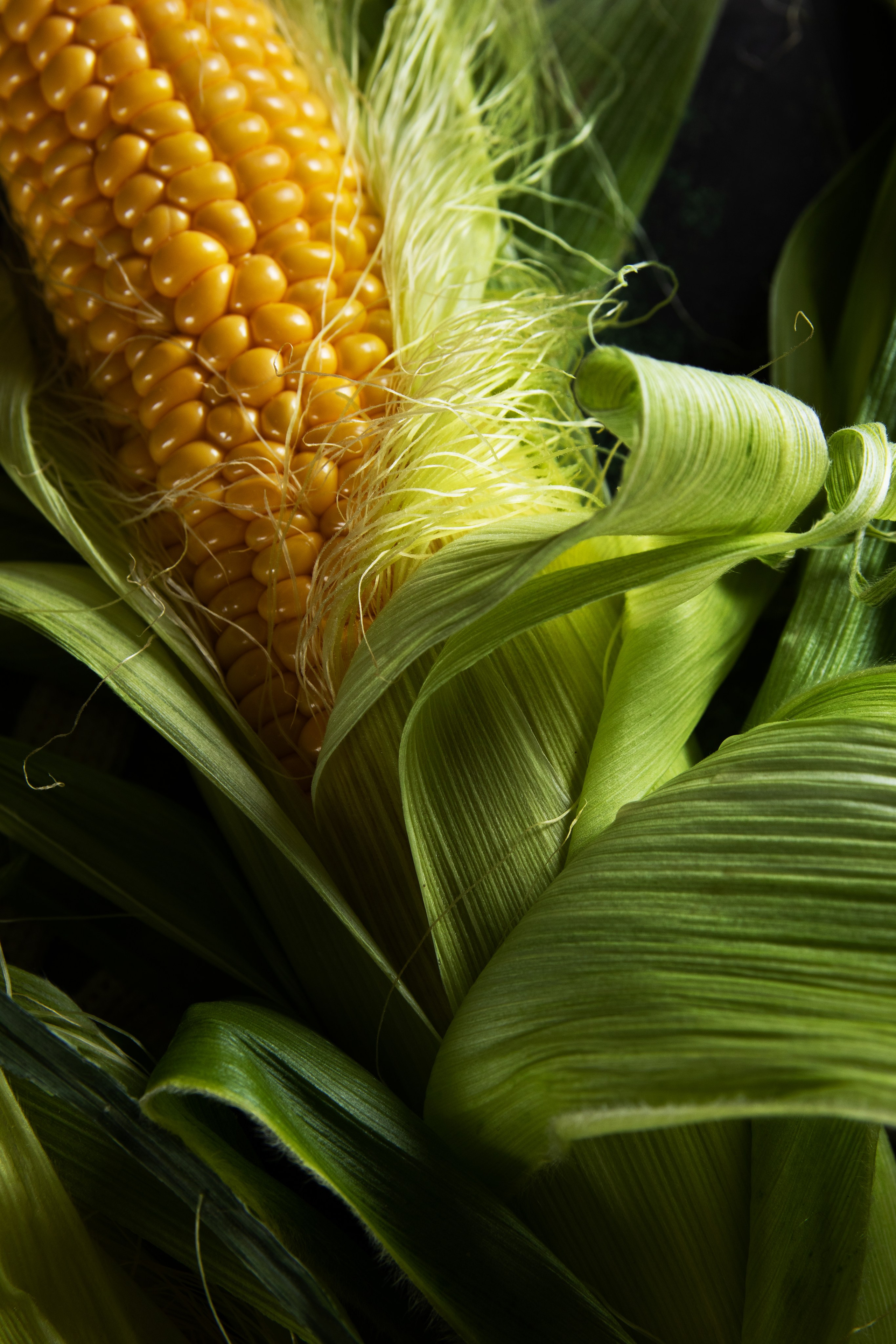 Фуд съемка. Семейный и рекламный фотограф в Ташкенте Мария Кудрявцева