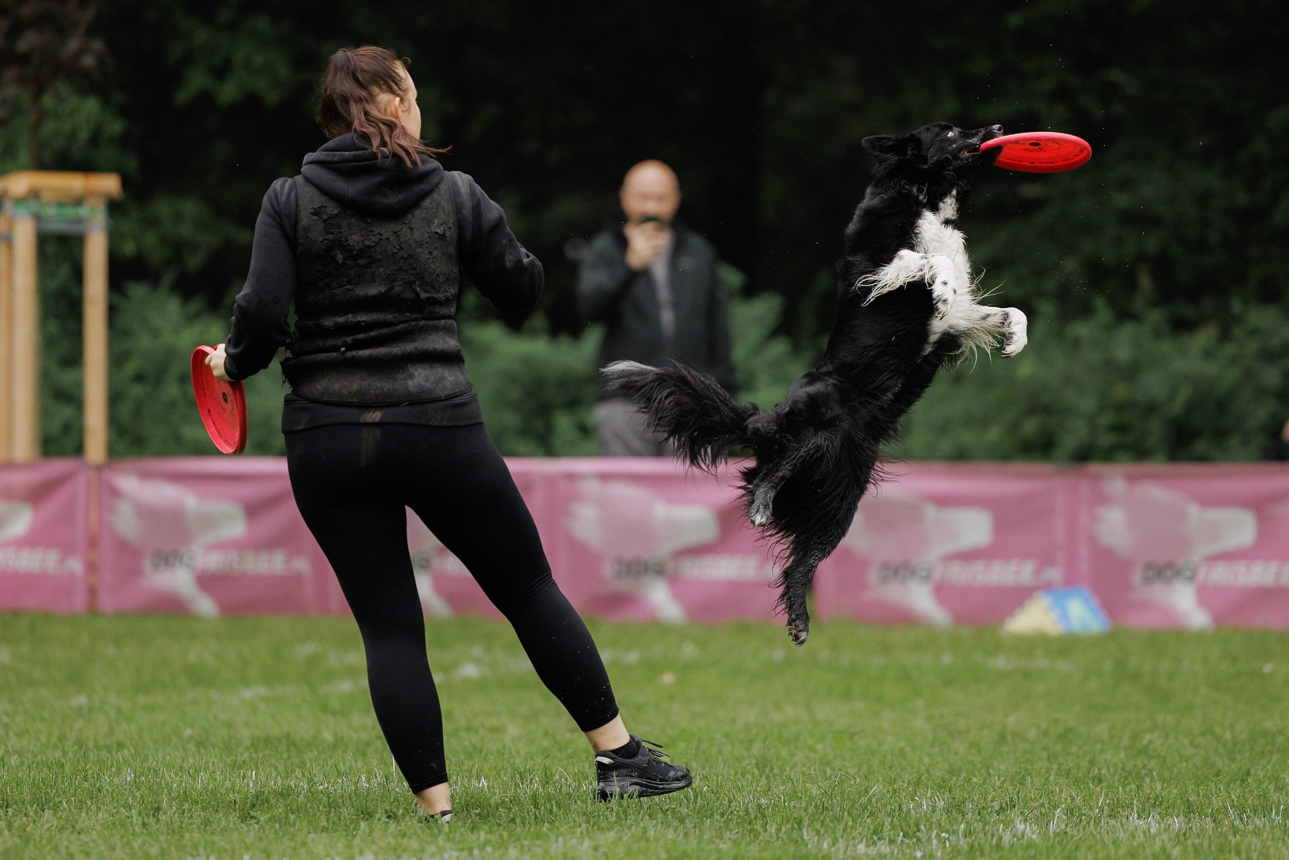 Latające psy, Wrocław'25. Kaja | fotograf psów we Wrocławiu