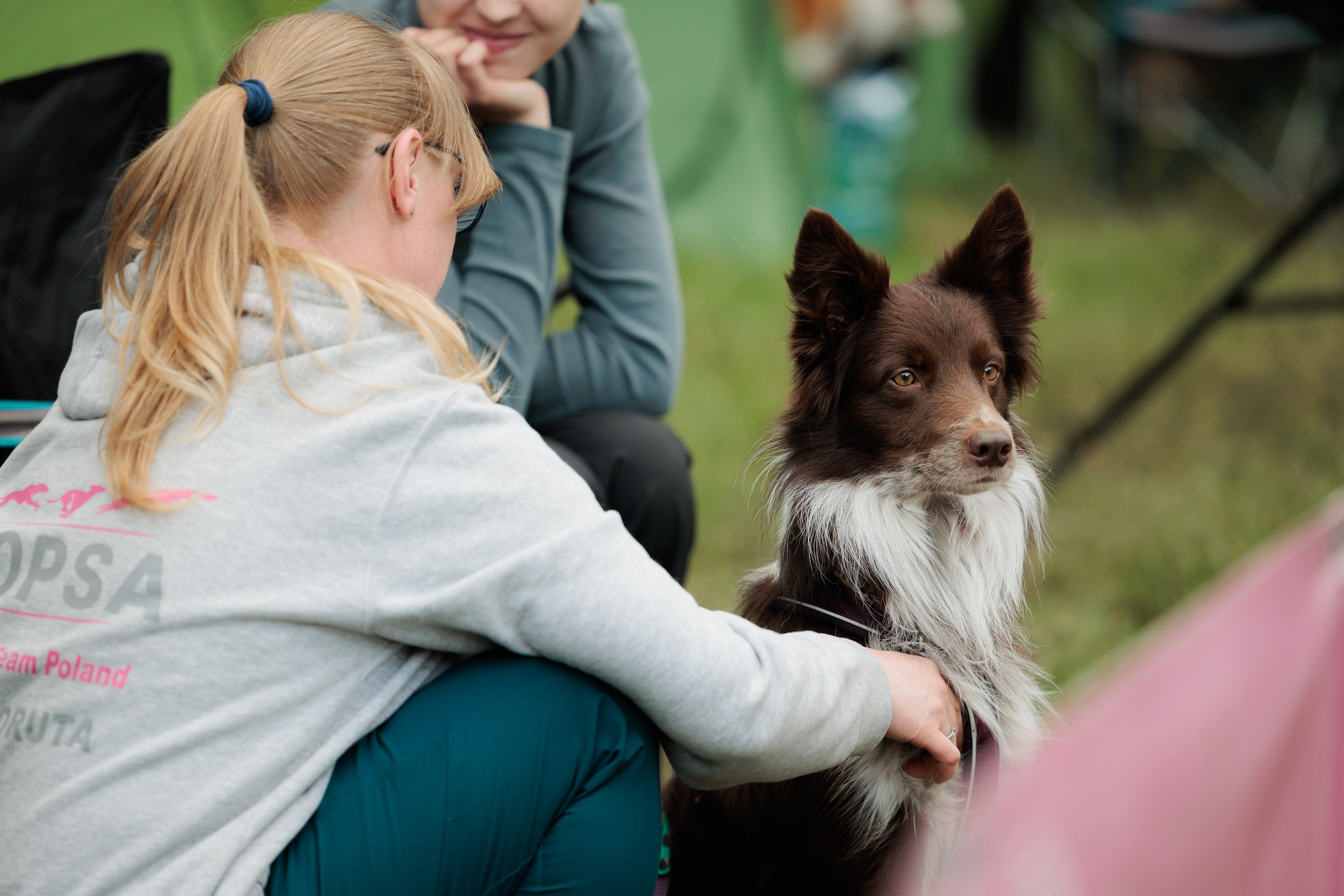Latające psy, Wrocław'25. Kaja | fotograf psów we Wrocławiu