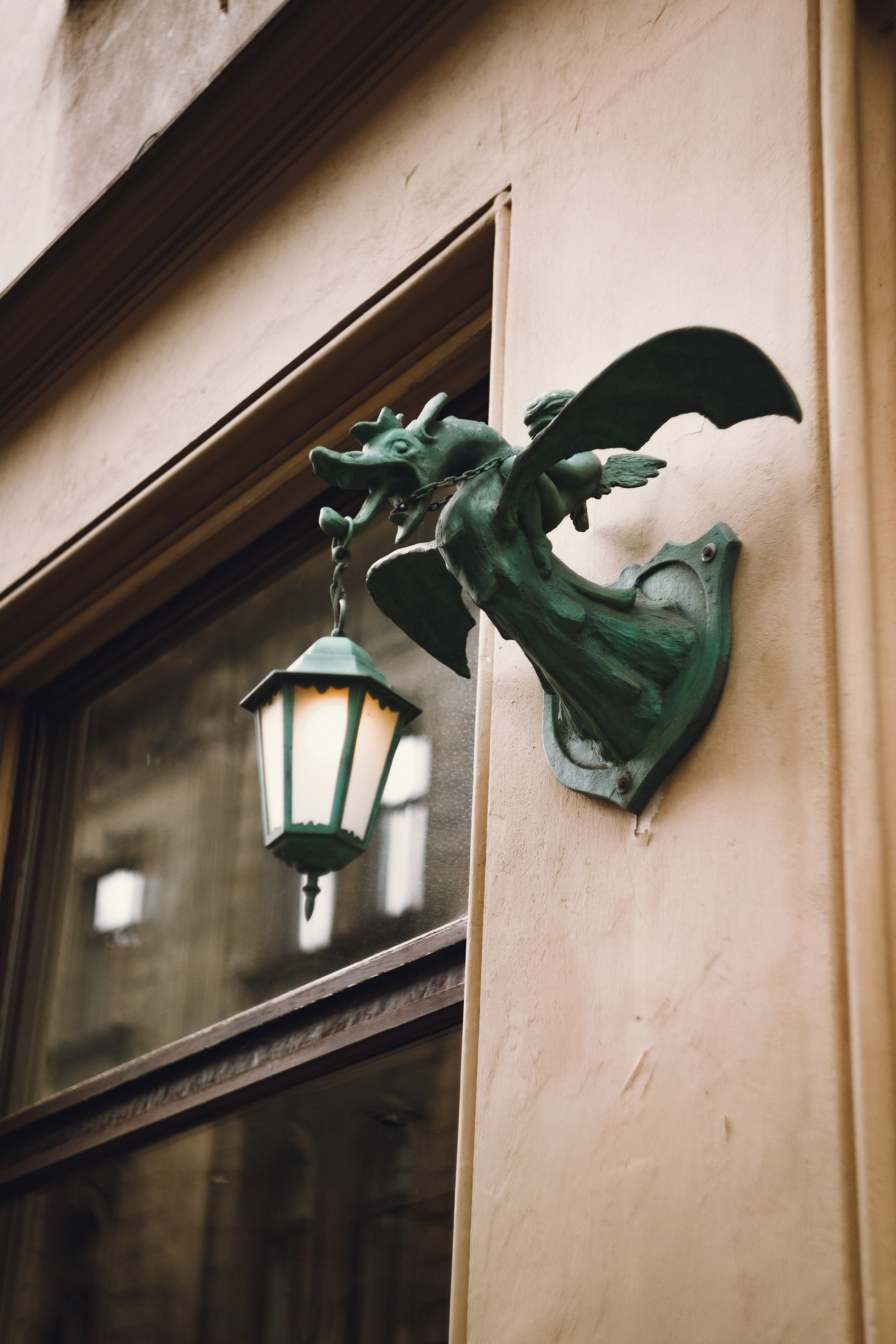 Krakow. Kaja | fotograf psów we Wrocławiu