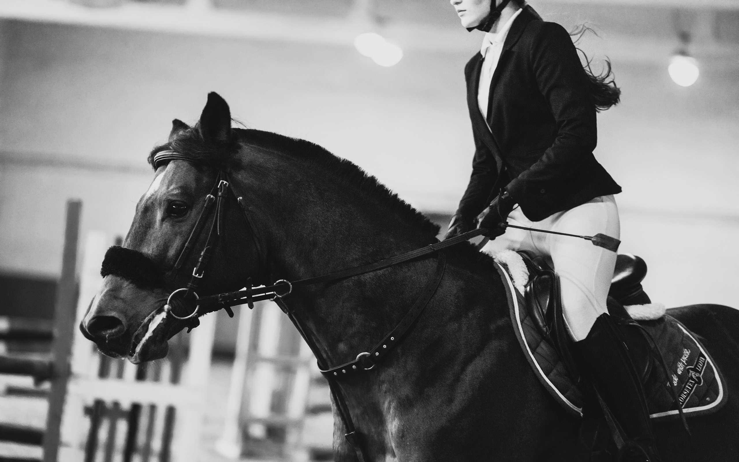Winter show jumping in «Progress». Kaja | fotograf we Wrocławiu | ludzie i psy