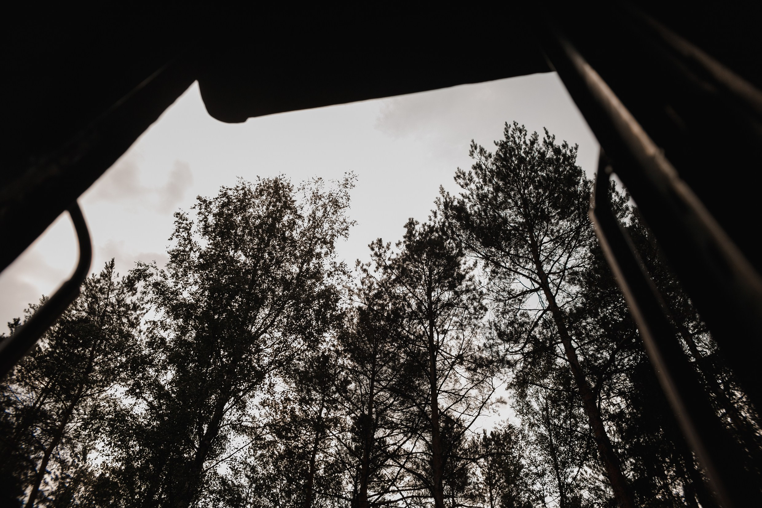 Narrow-gauge railway trip. Kaja | fotograf psów we Wrocławiu