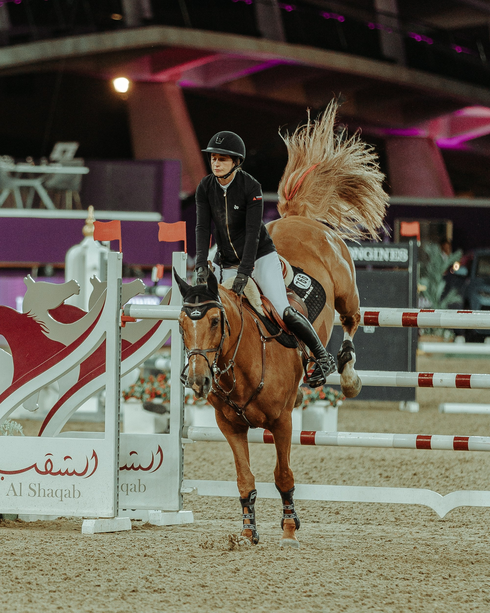 CHI 2024 — Doha. Regina Turbin — official website