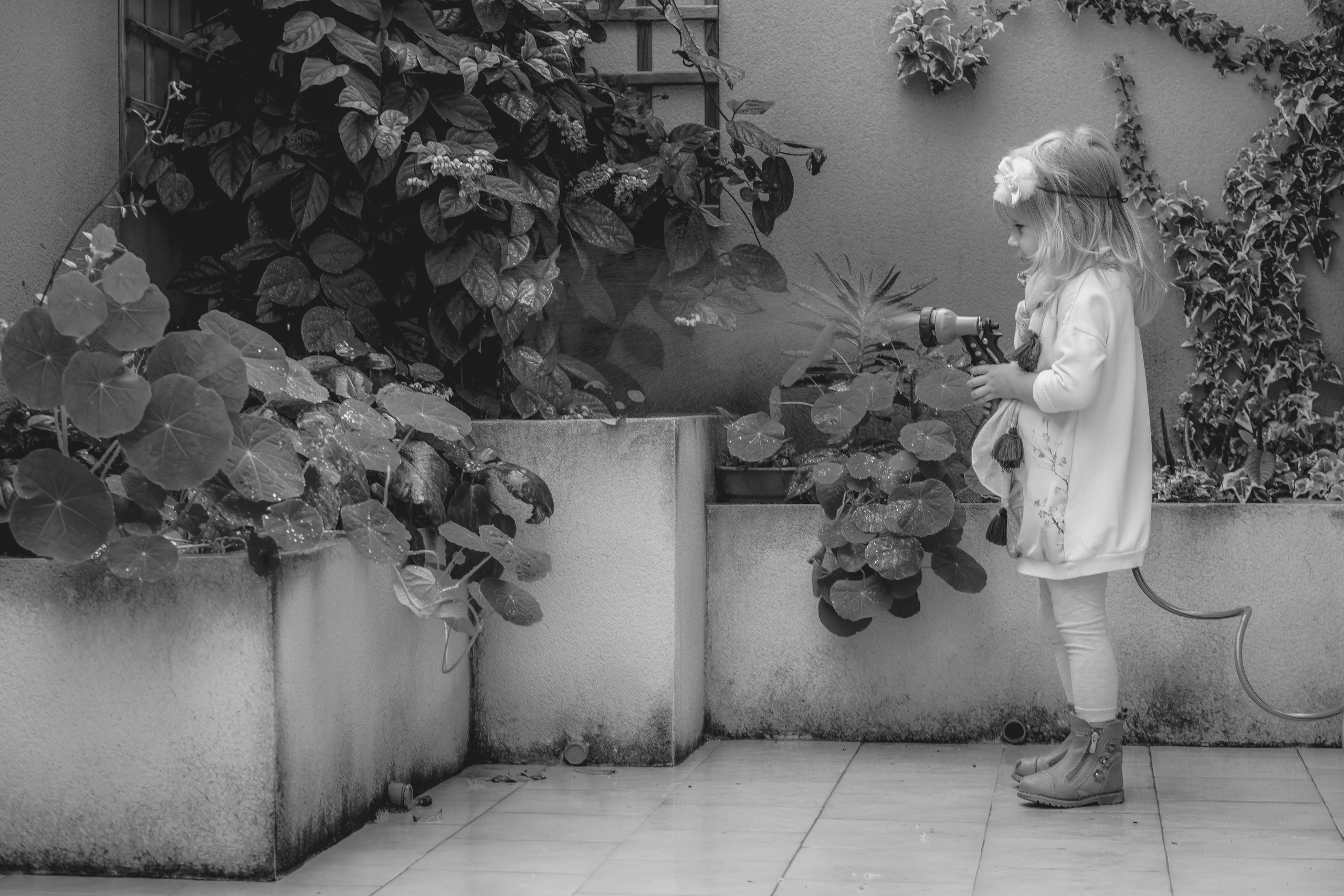 Magic moments. Alba del Norte Studio