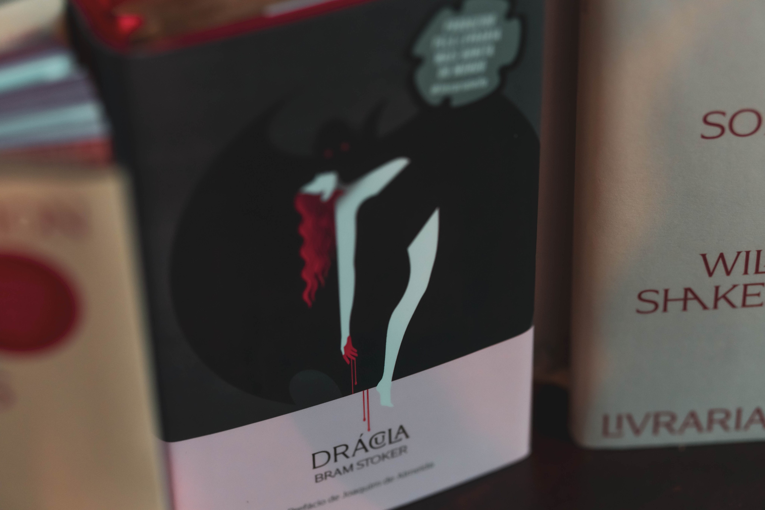 Librería Lello, Porto. Alba del Norte Studio