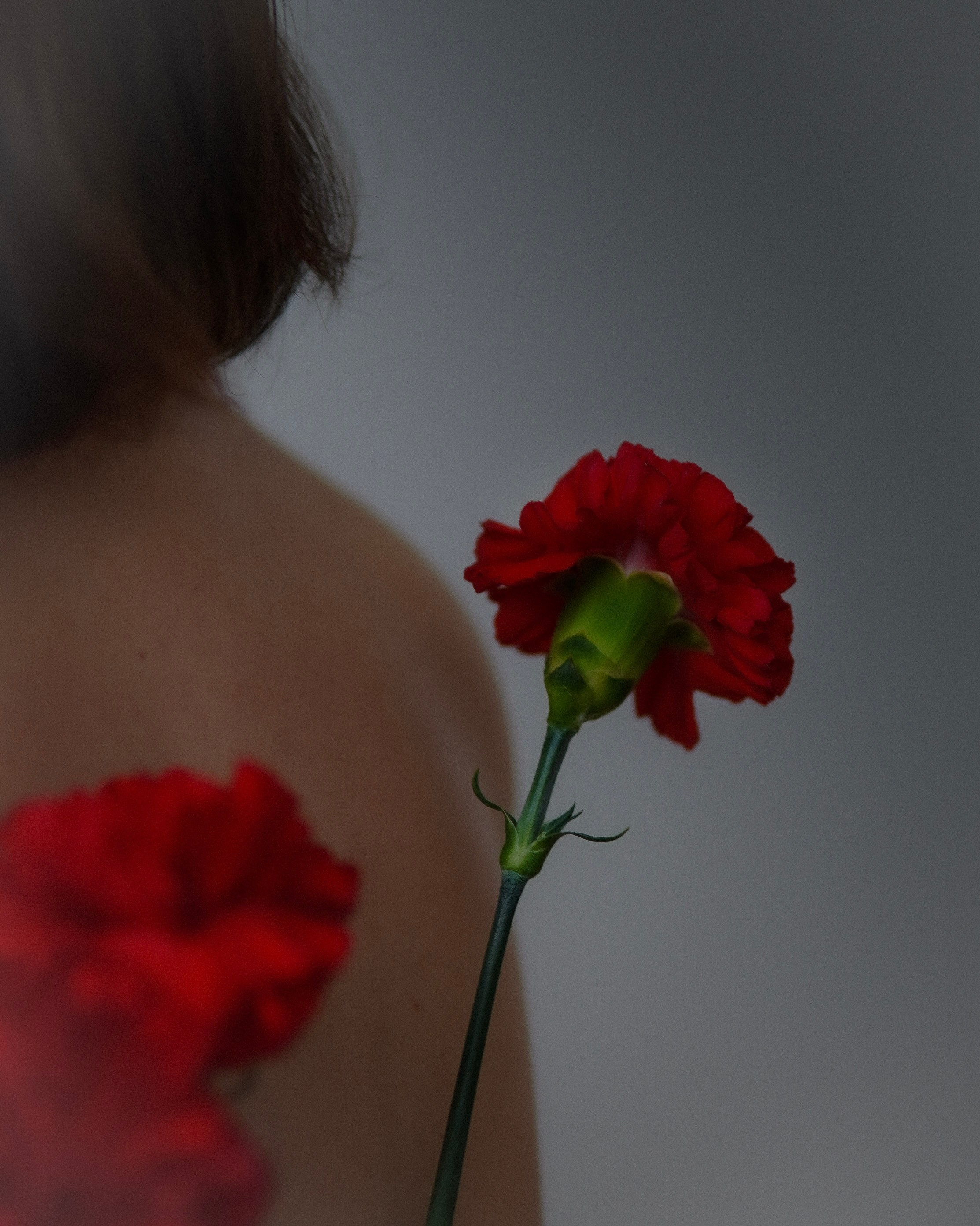 Ksenia. Meeste ja naiste fotograaf Tallinnas Anna Sipari