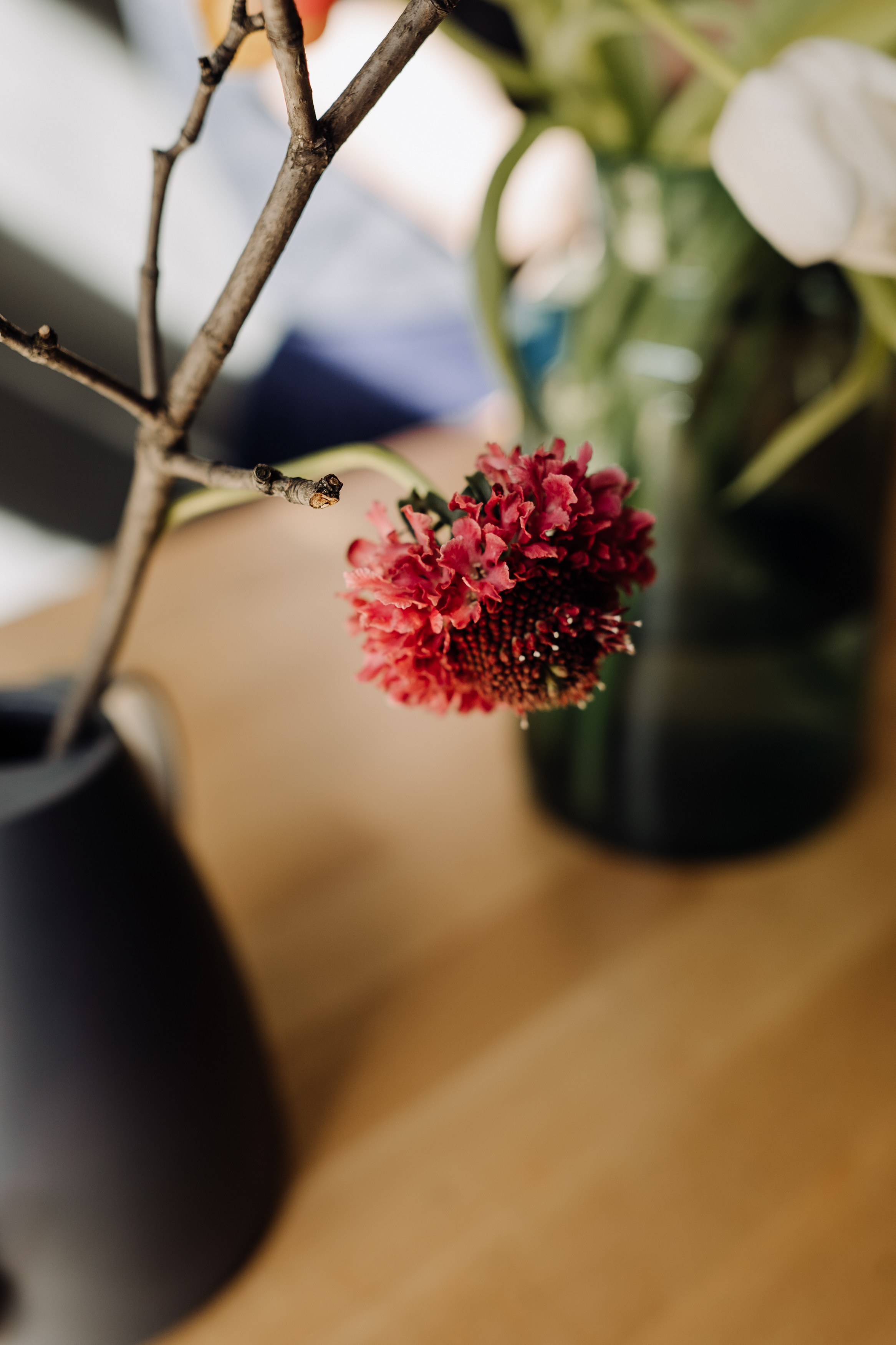 Elena. Фотограф в Праге Анна Лебедева