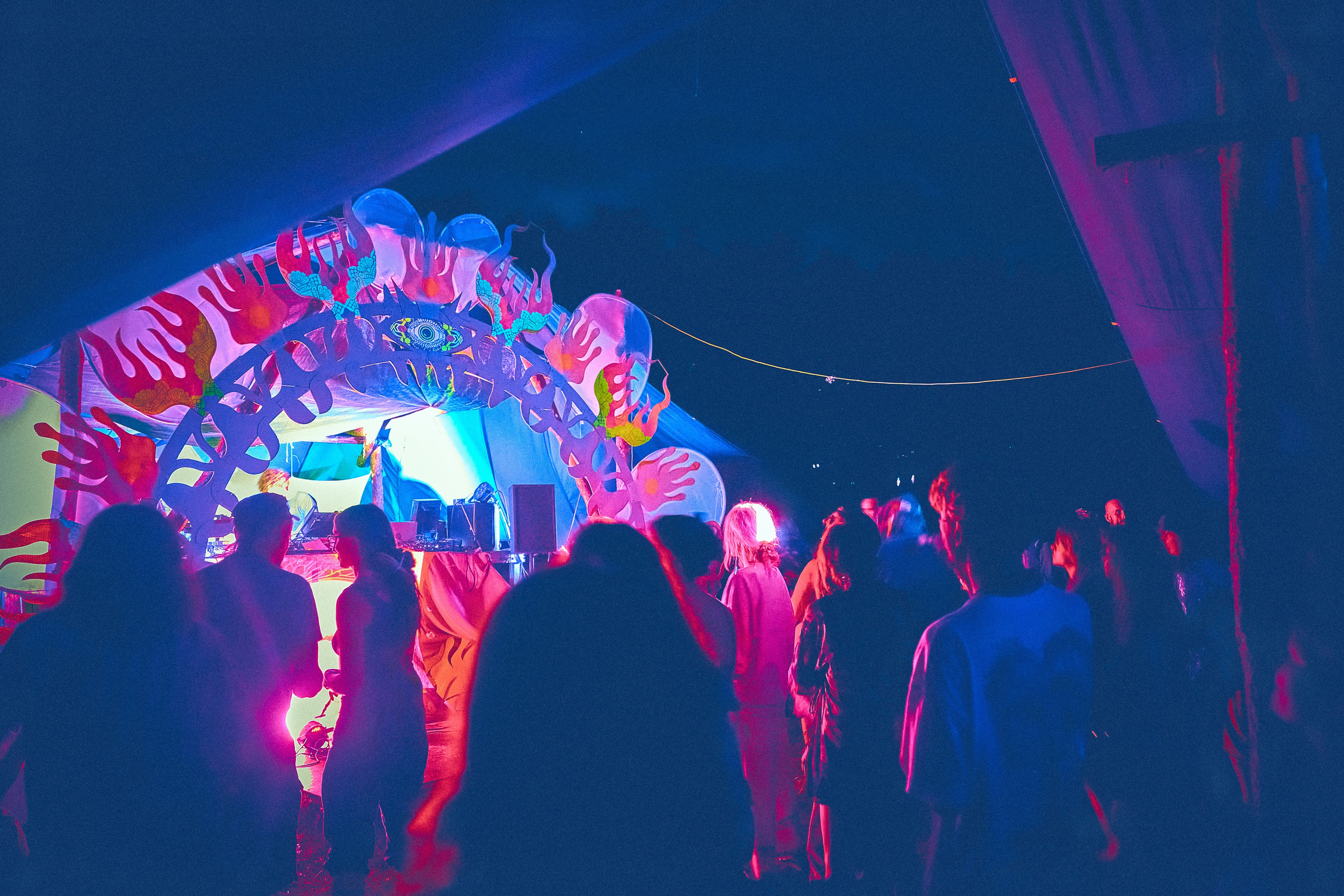 Organic Festival 2024. Андрей Шипилов — Фотография & Видеография