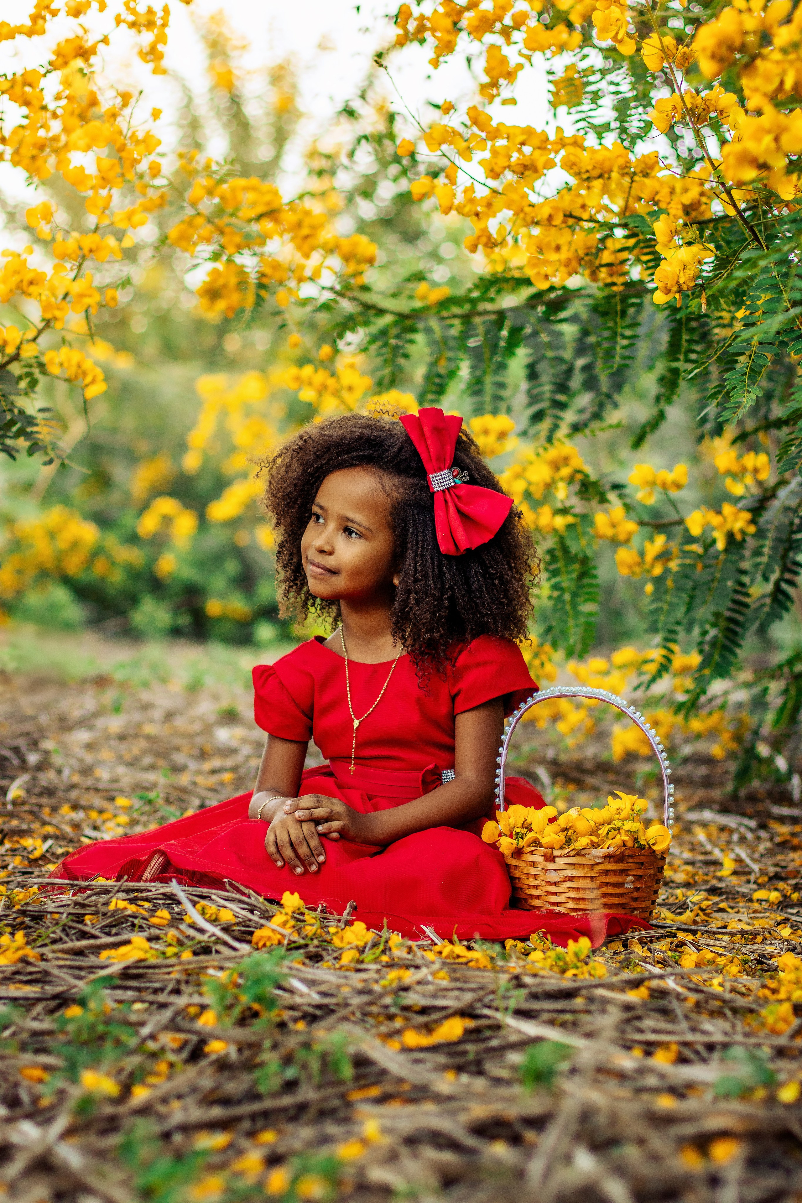 ISABELLY SANTOS. Fotografo de ensaios externos em Brejolândia-Ba