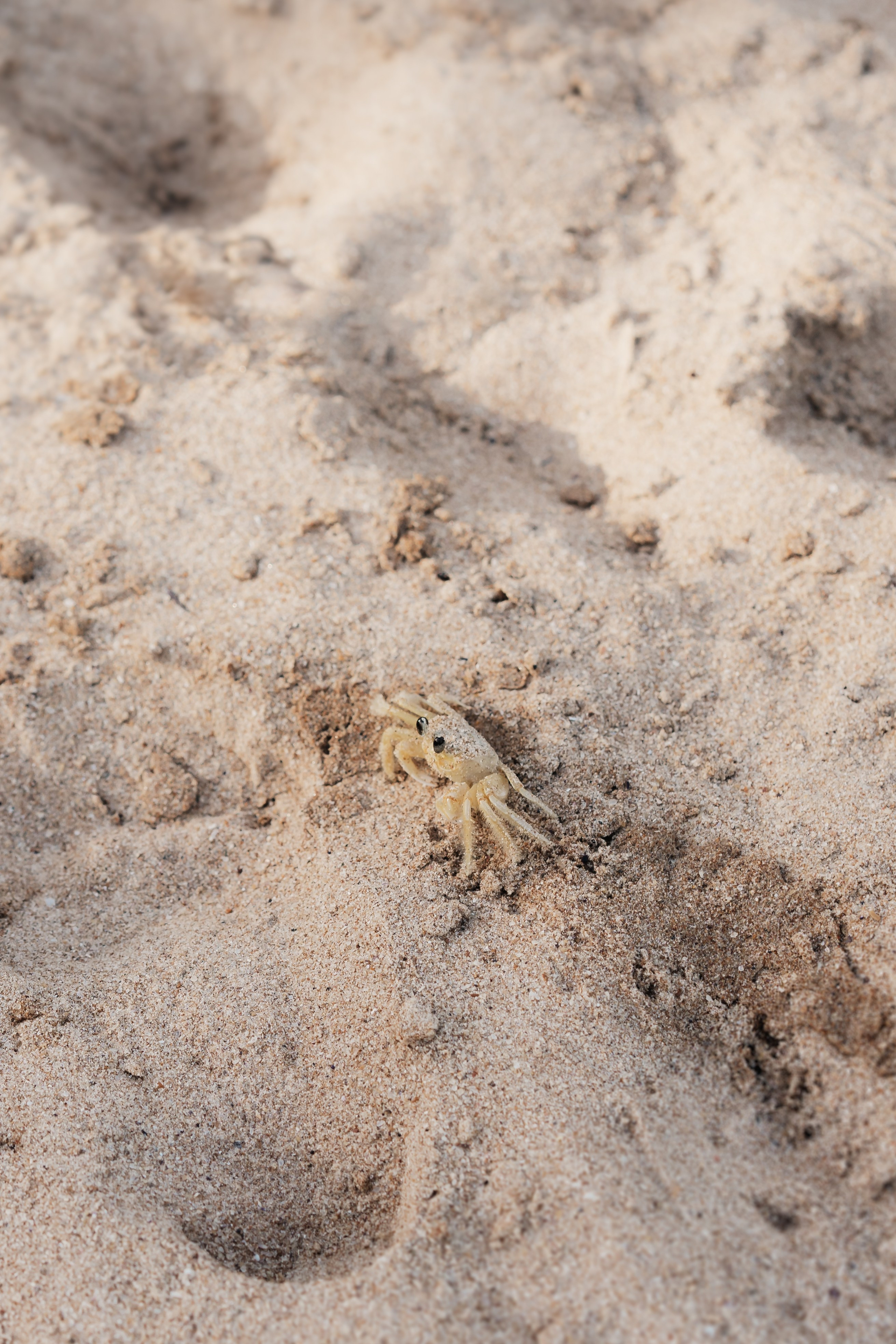 Aldre & Matheus | Guarapari. Lembrar não é só ver. É sentir de novo