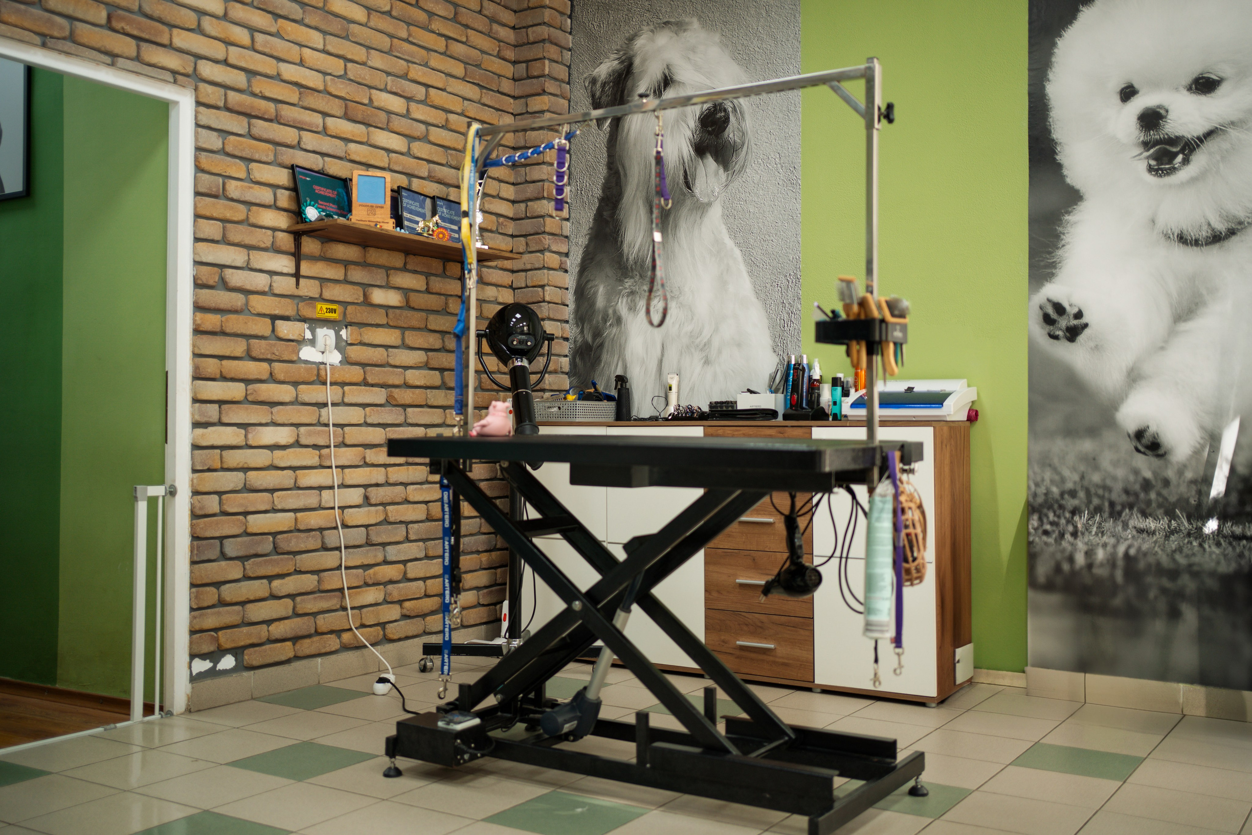 PetGroom Timisoara. Cozac Cristian Photographer