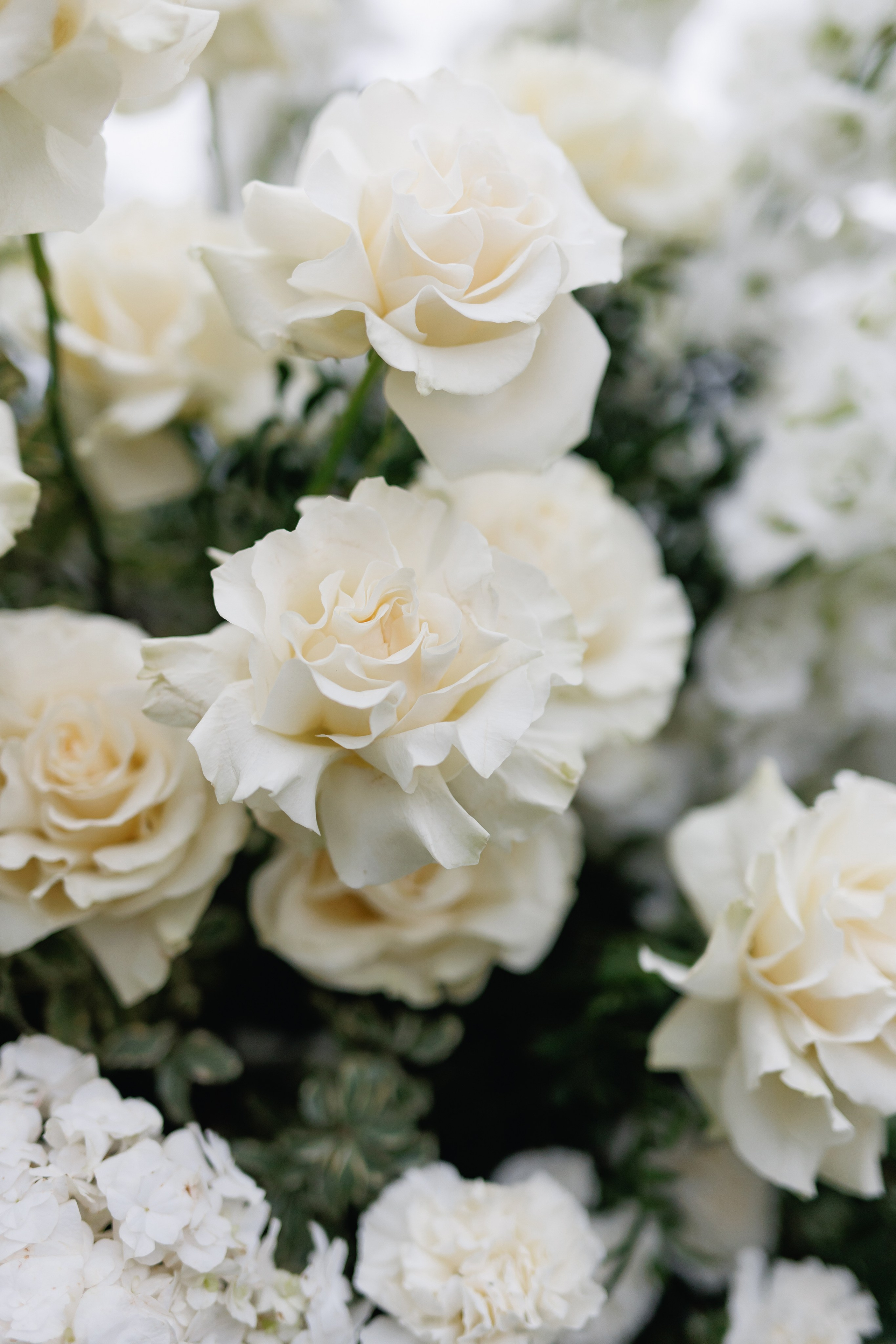 Wedding in Tuscany Wedding Photograoher Italy