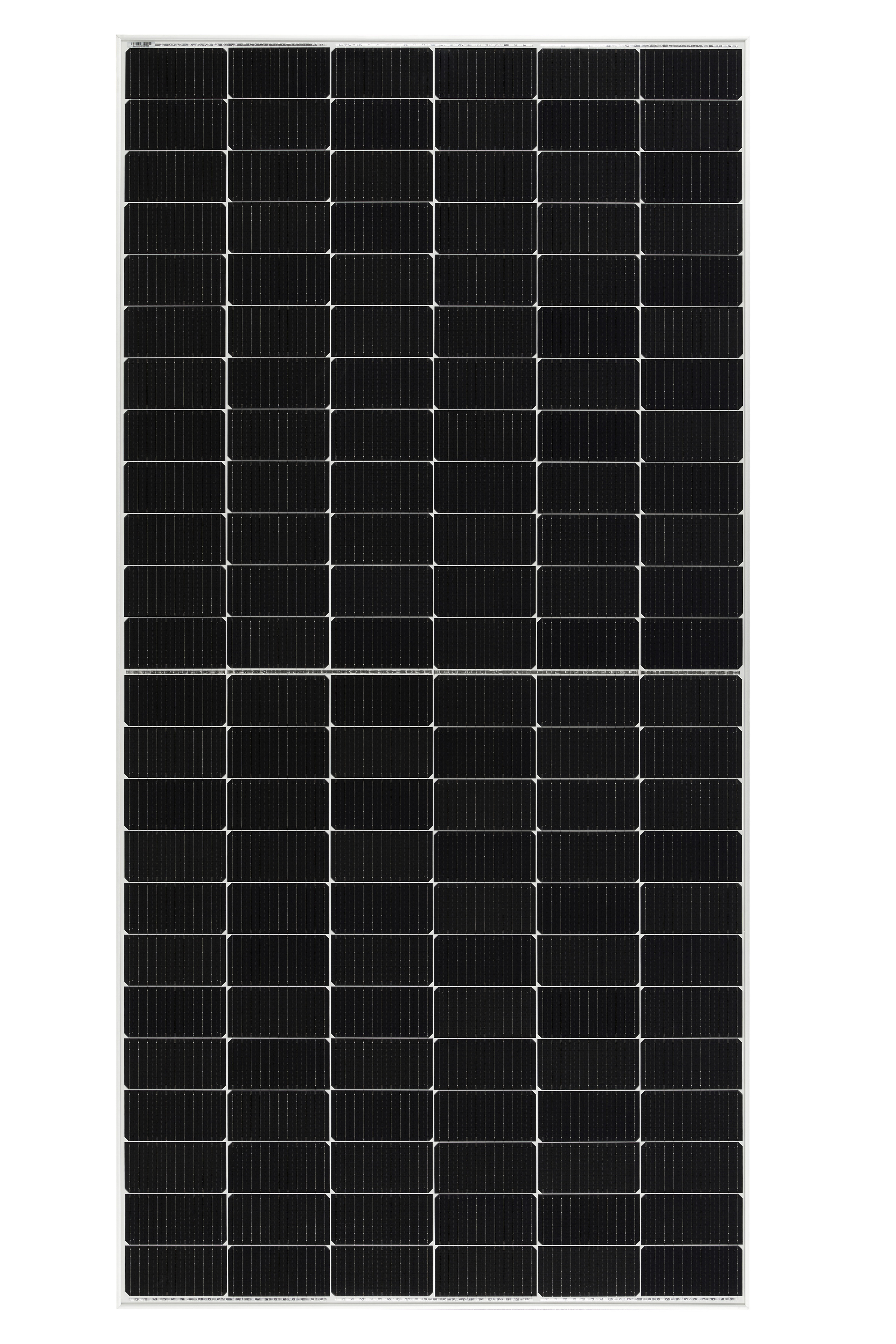 Still life photography in Tashkent. Photographer in Tashkent Pavel Nasennikov