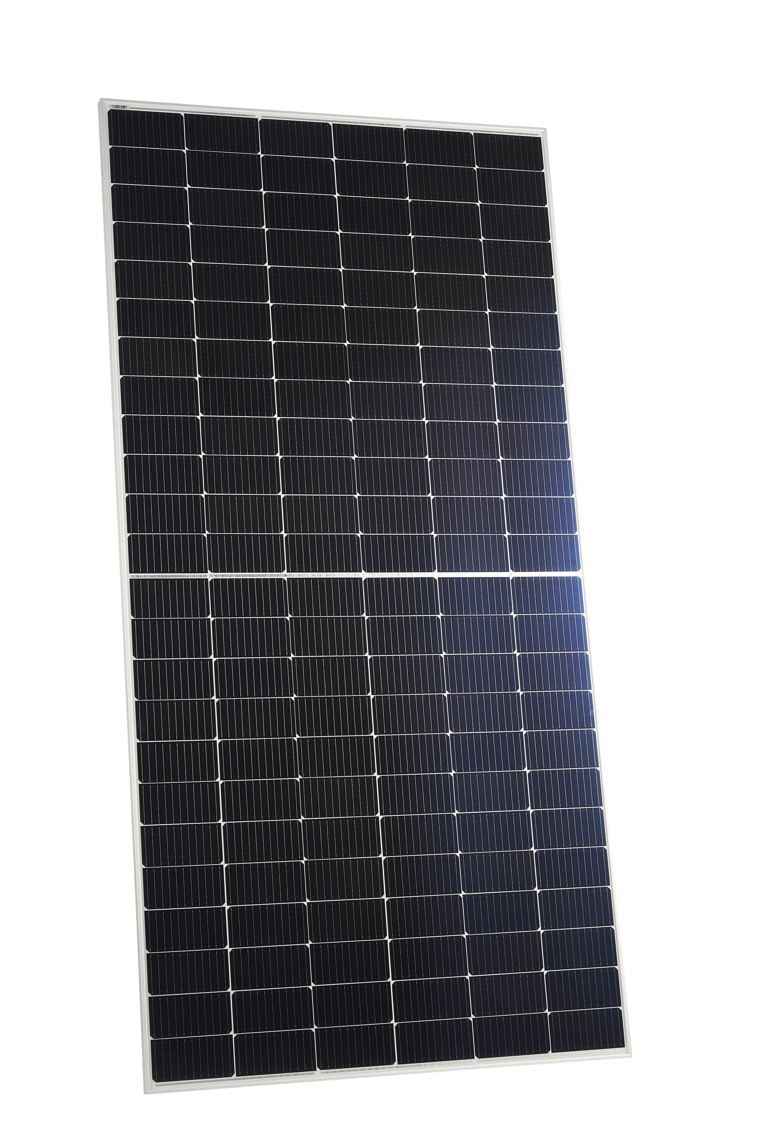 Still life photography in Tashkent. Photographer in Tashkent Pavel Nasennikov