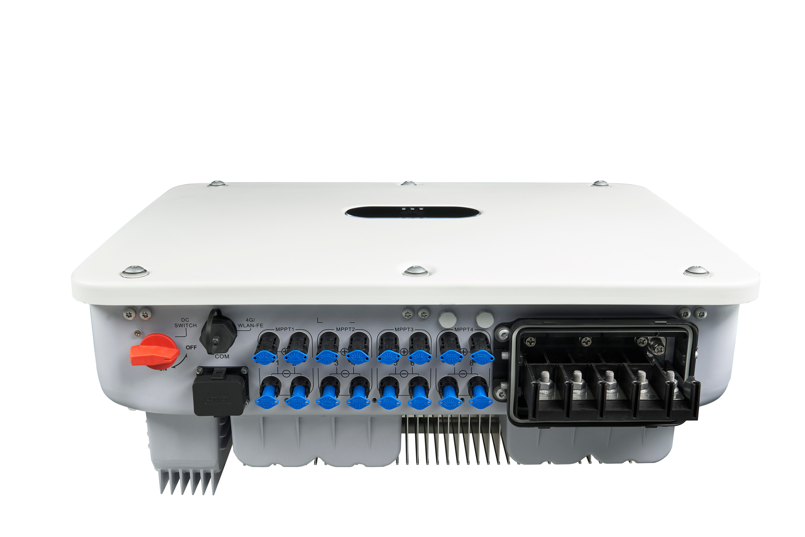 Still life photography in Tashkent. Photographer in Tashkent Pavel Nasennikov