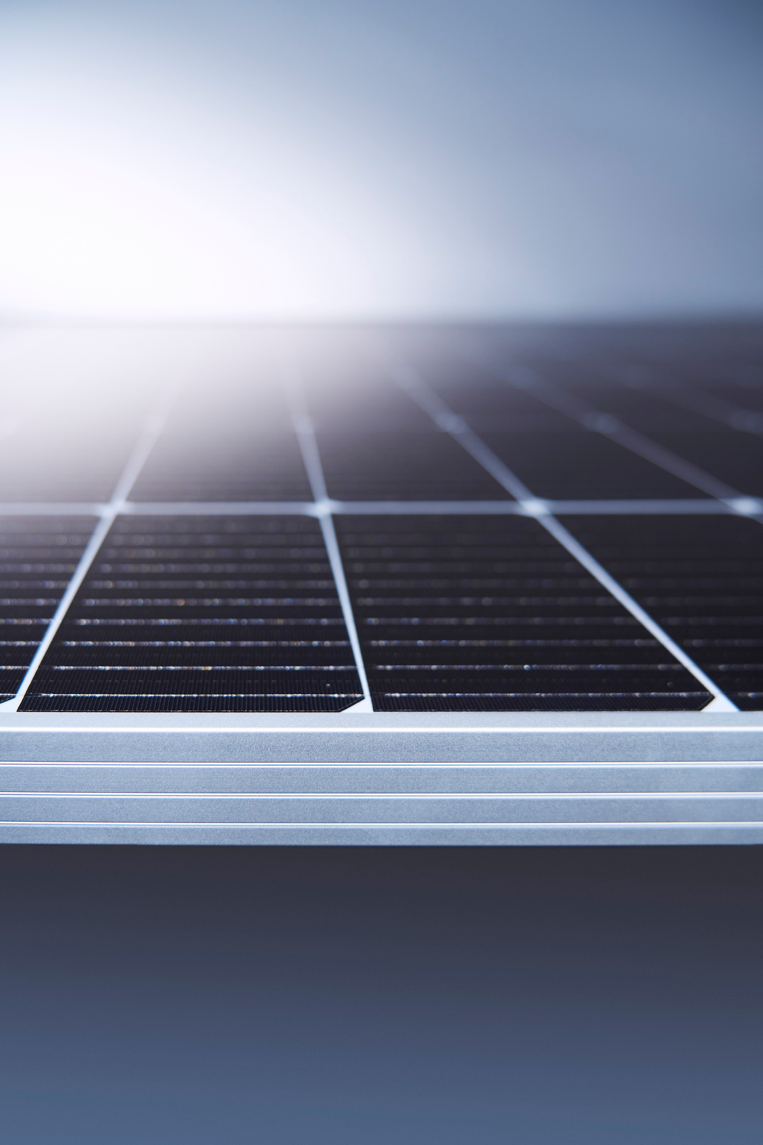 Still life photography in Tashkent. Photographer in Tashkent Pavel Nasennikov