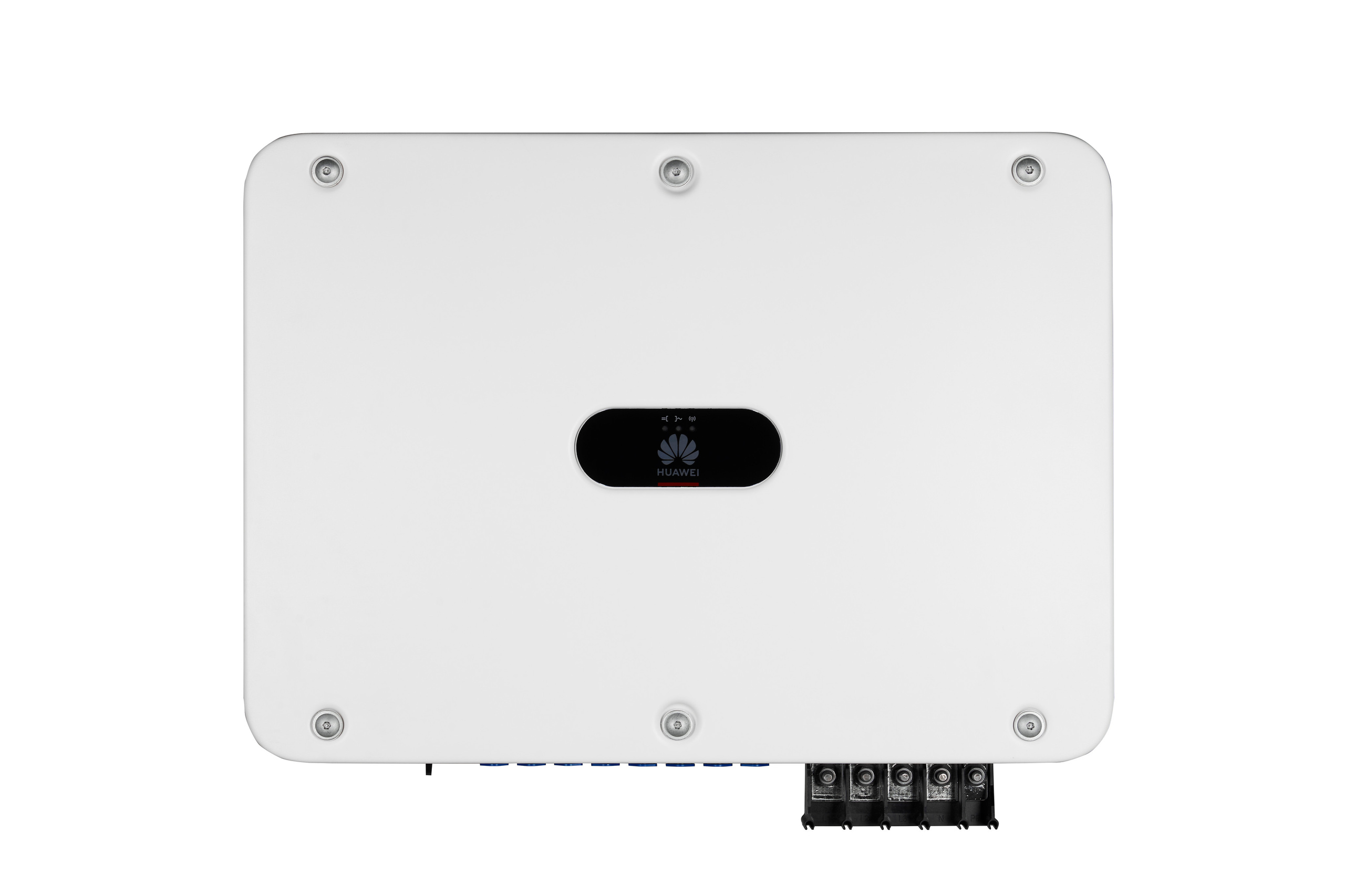 Still life photography in Tashkent. Photographer in Tashkent Pavel Nasennikov