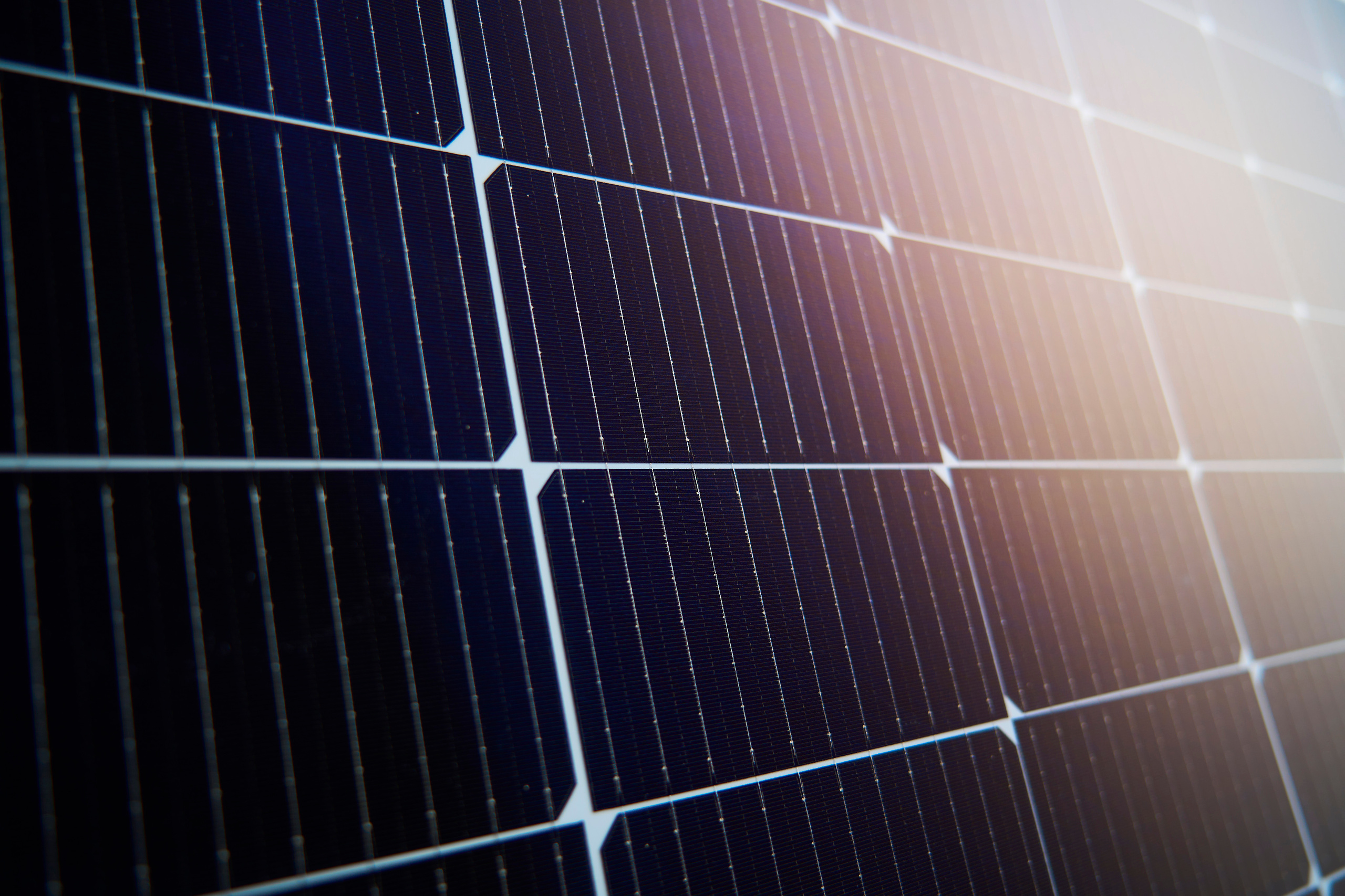 Still life photography in Tashkent. Photographer in Tashkent Pavel Nasennikov