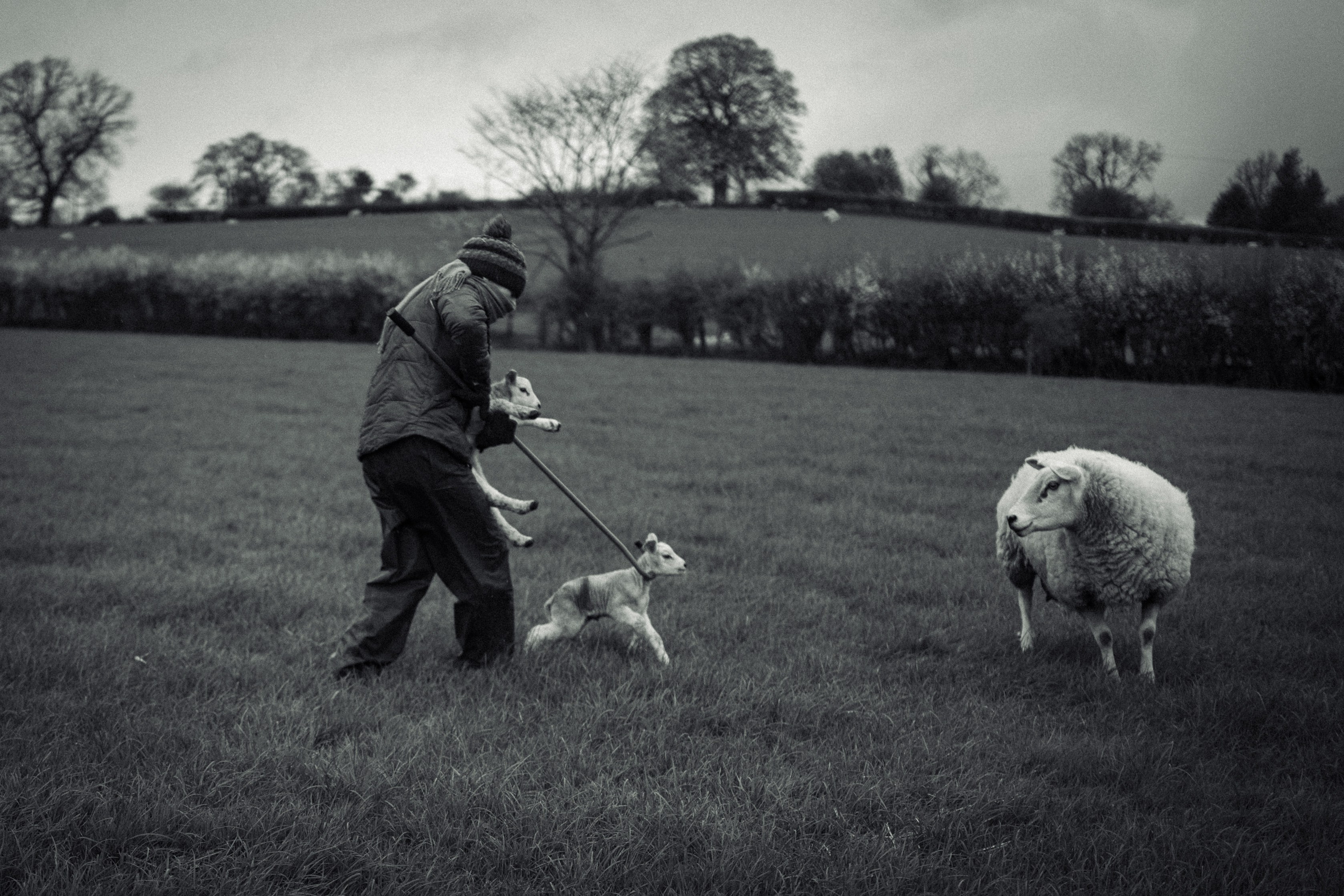 Farming. Ryan Hewitt Photographer