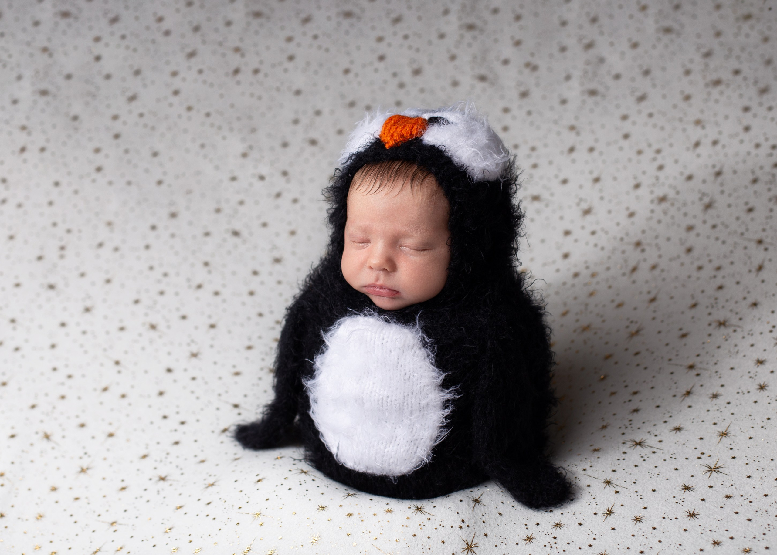 Каталог 12 Newborn. Катерина Шустерман — фотограф Newborn, семейный в Израиле