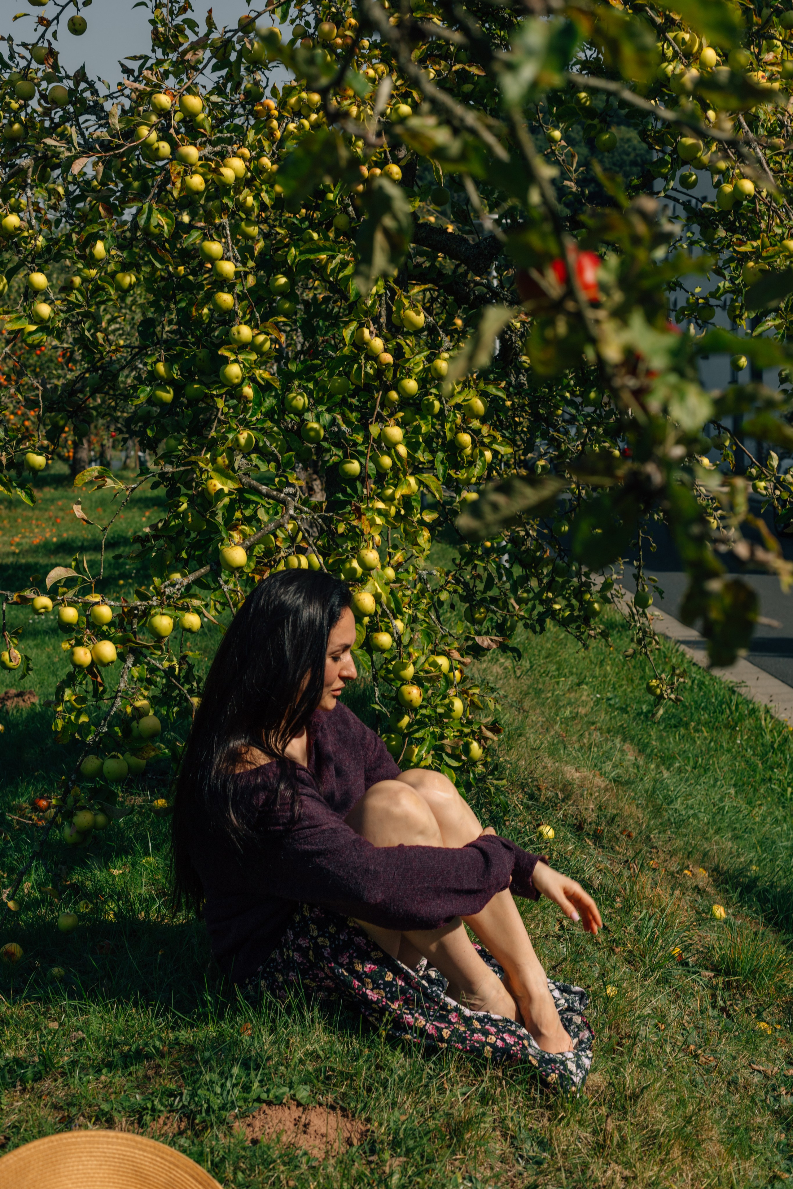 In Garten. PHOTOgrapher Germany MARBURG