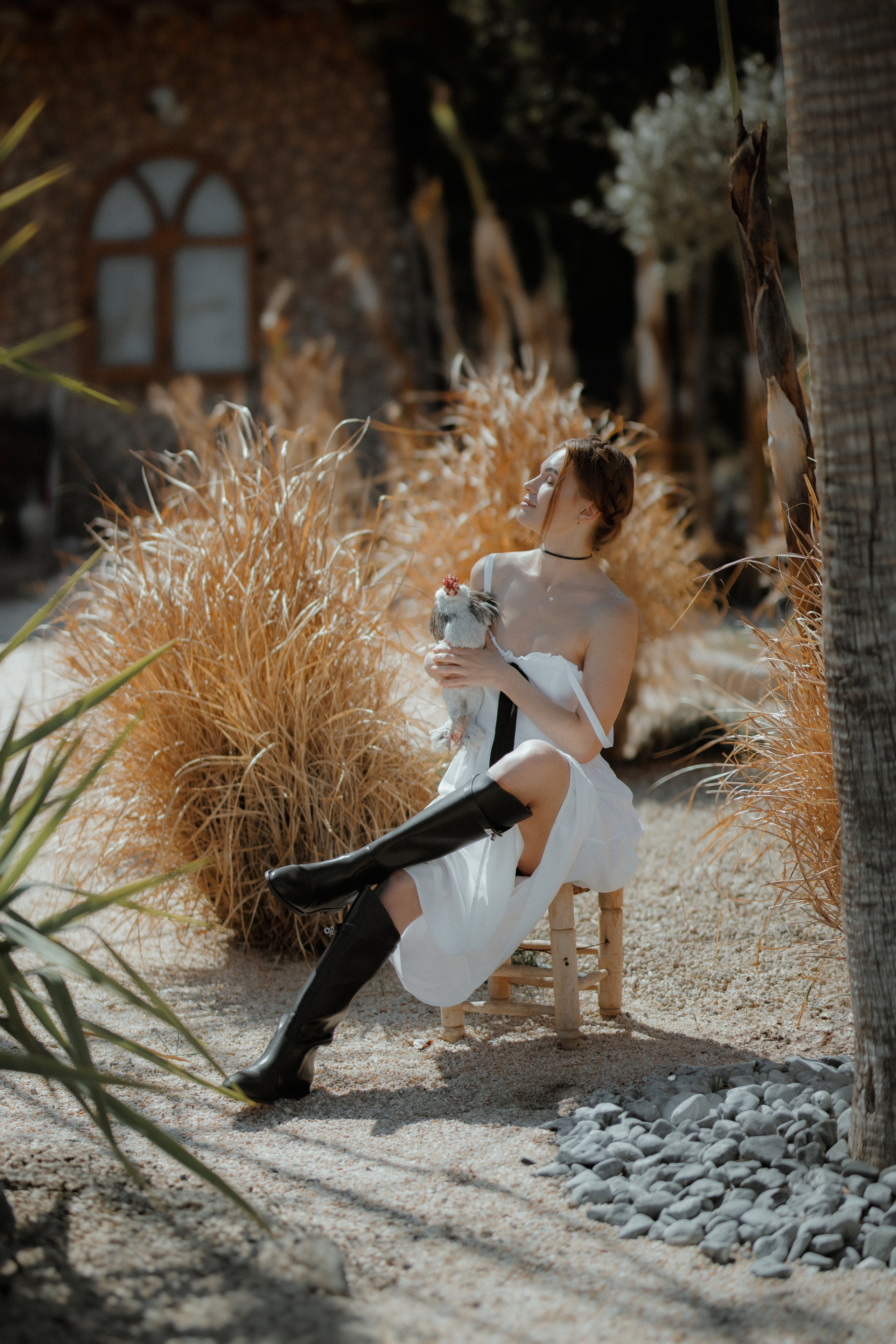 Фотосессия с курицей. Фотограф в Турции | Алания, Сиде, Белек, Анталия, Кемер)